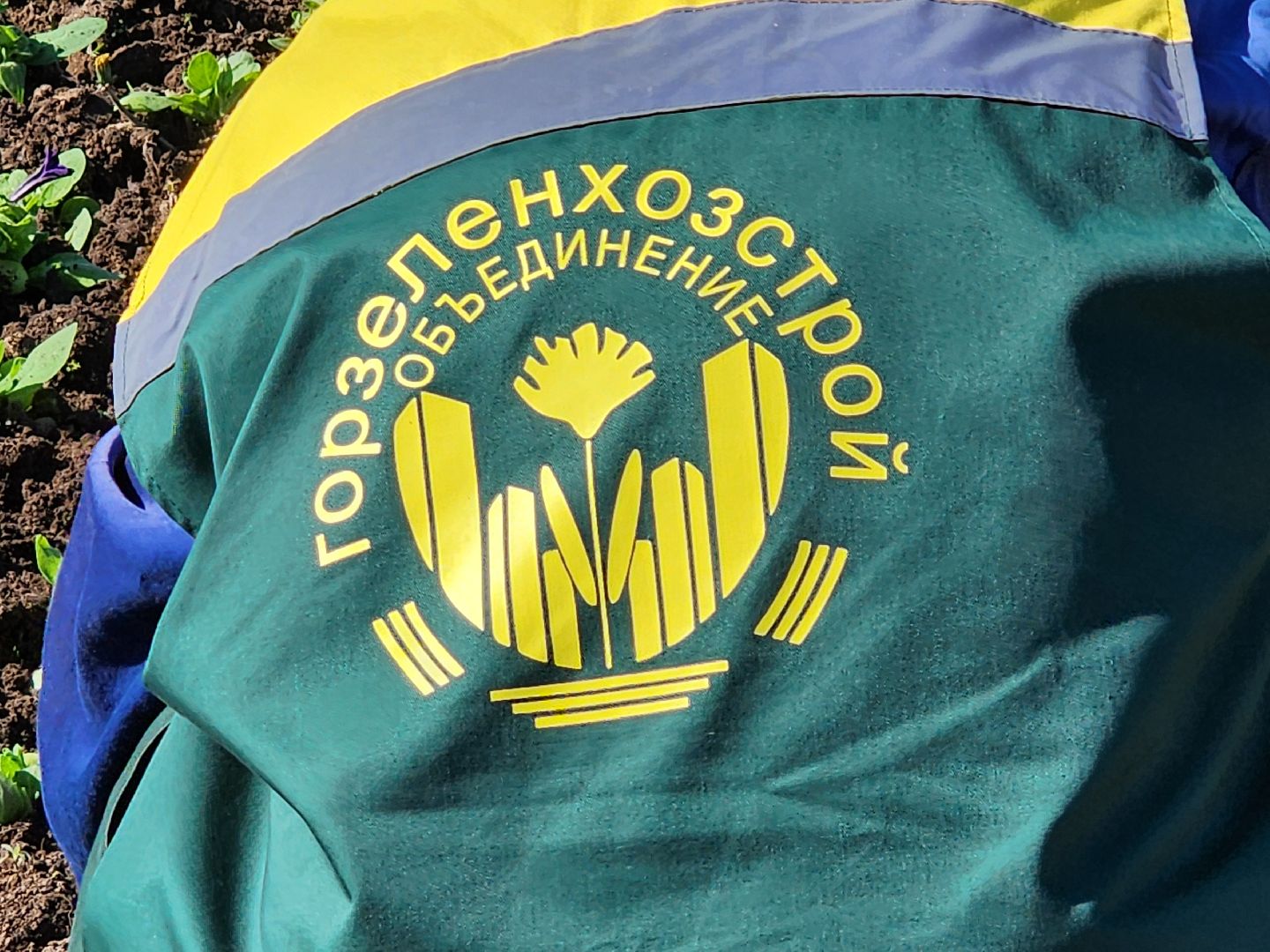 сергиев посад, озеленение, келарская набережная, клумбы,