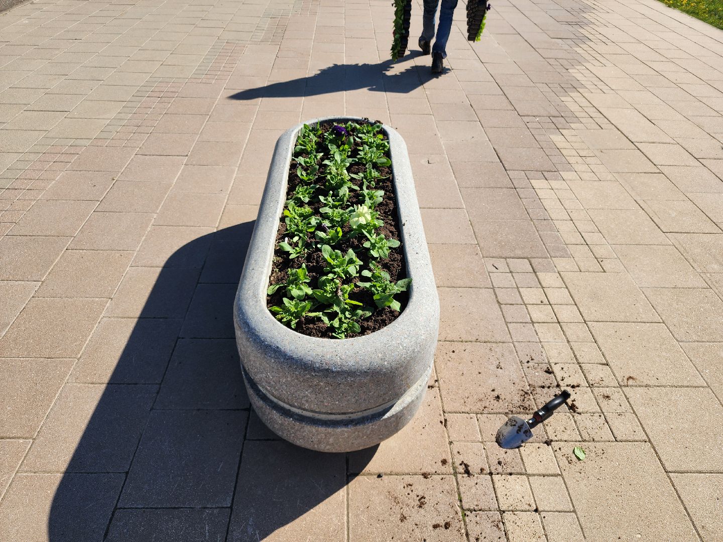 сергиев посад, озеленение, келарская набережная, клумбы,