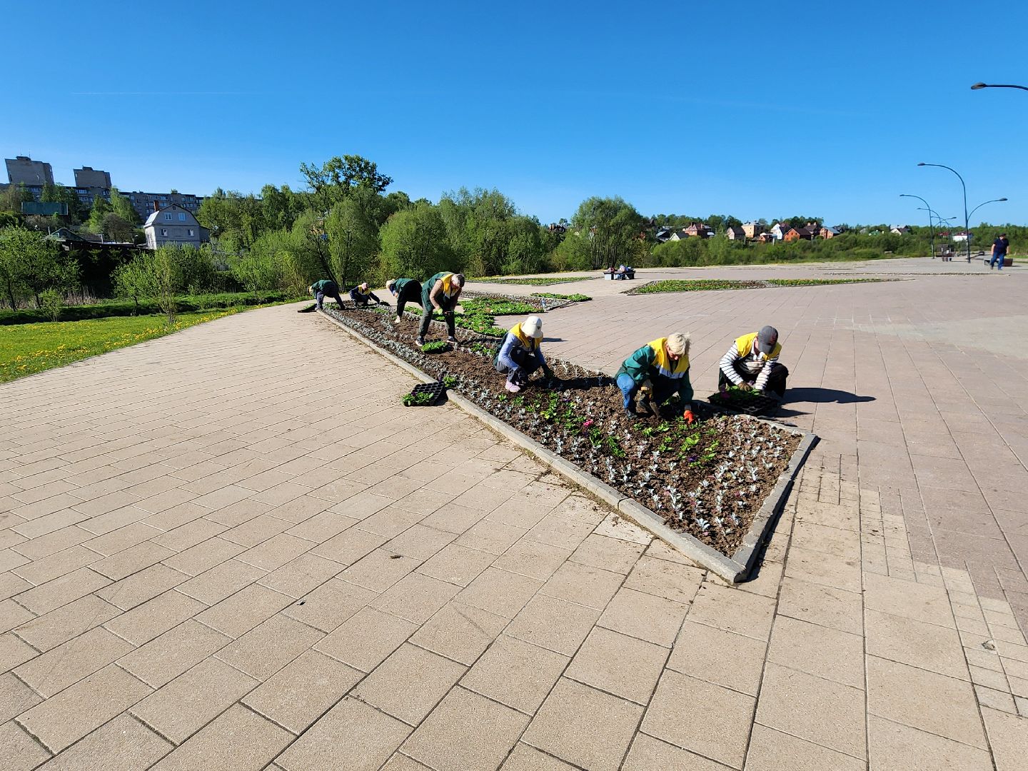 сергиев посад, озеленение, келарская набережная, клумбы,