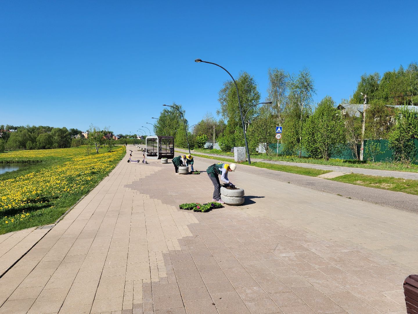 сергиев посад, озеленение, келарская набережная, клумбы,