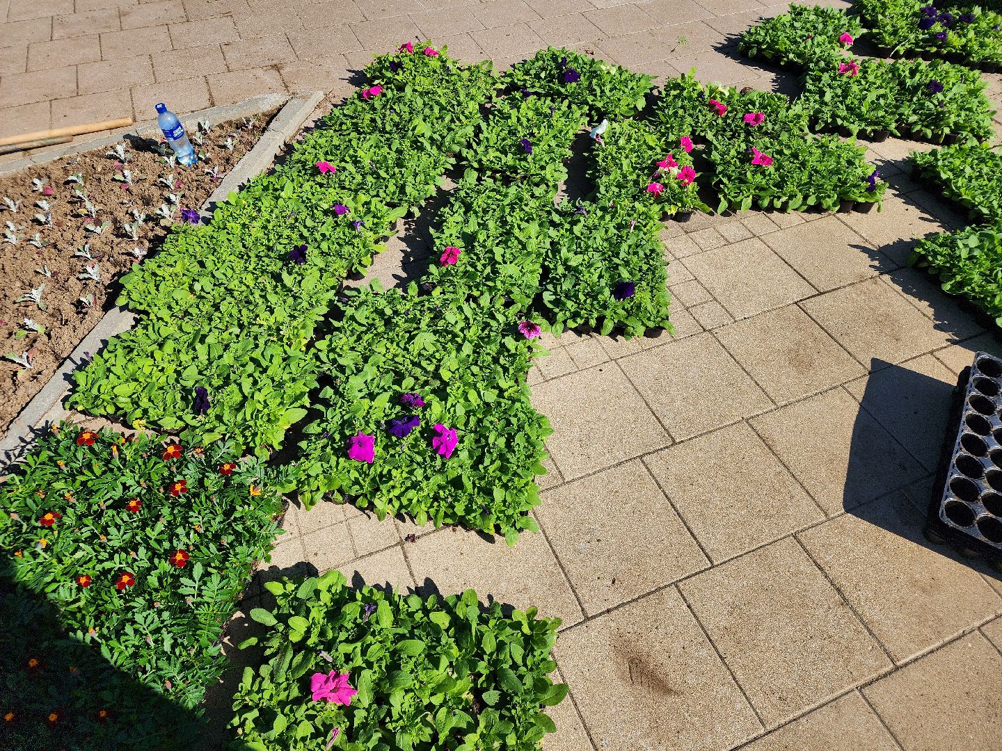 сергиев посад, озеленение, келарская набережная, клумбы,