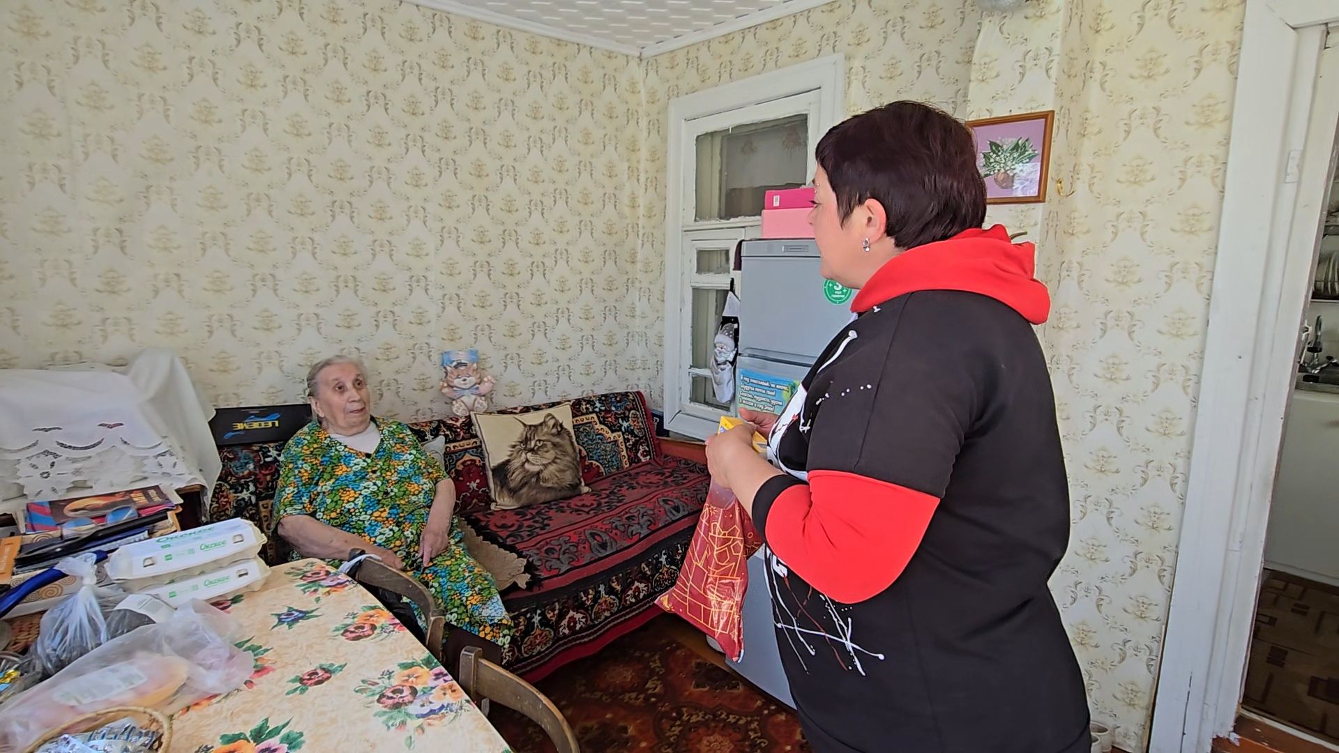 Коломна, Озеры, телемедицина, получение льготных лекарств, льготные лекарства,