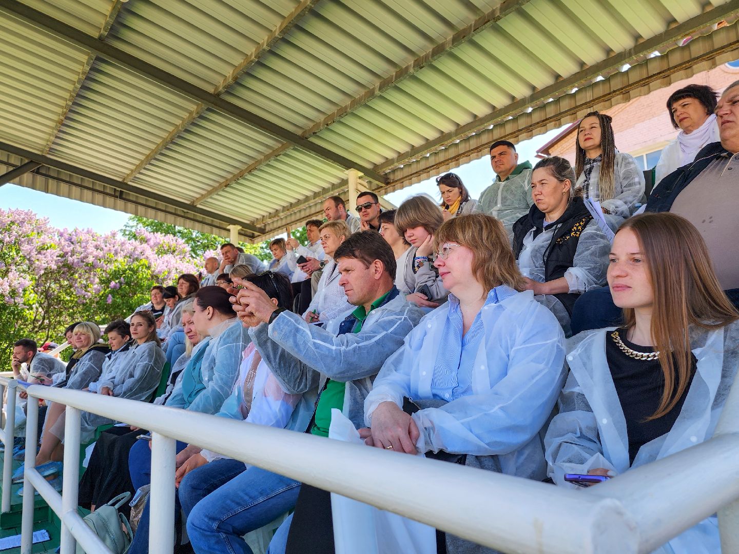 Подольск, сельское хозяйство, выводка быков,животноводство,