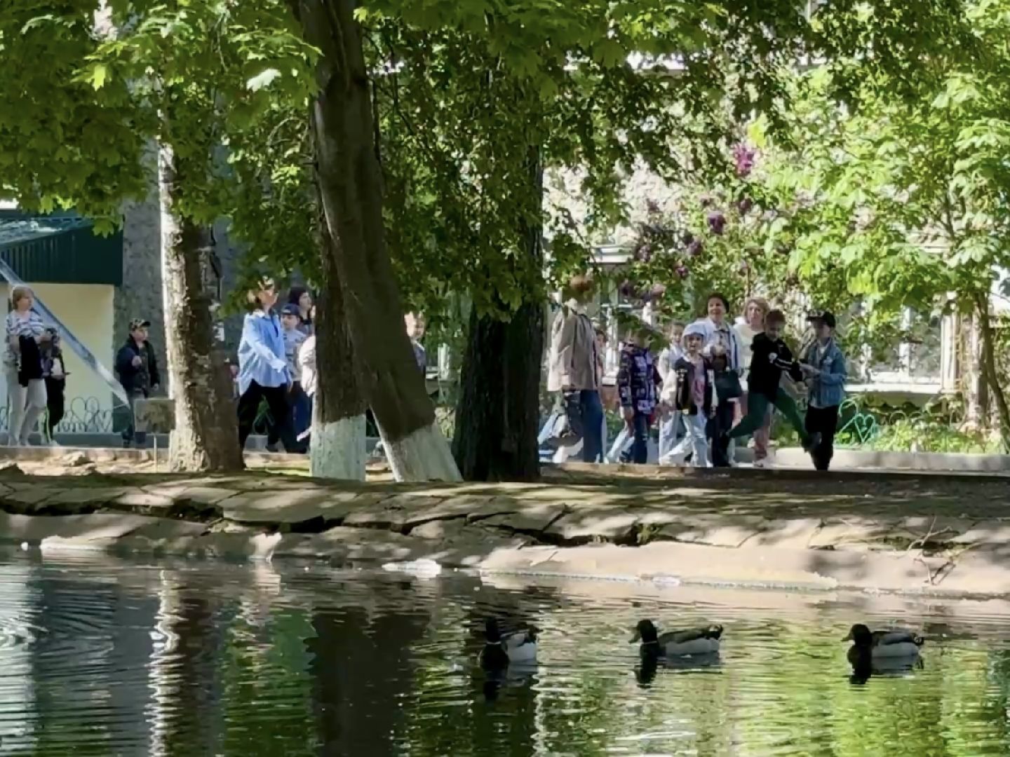 раменское, гжель, зоопарк,