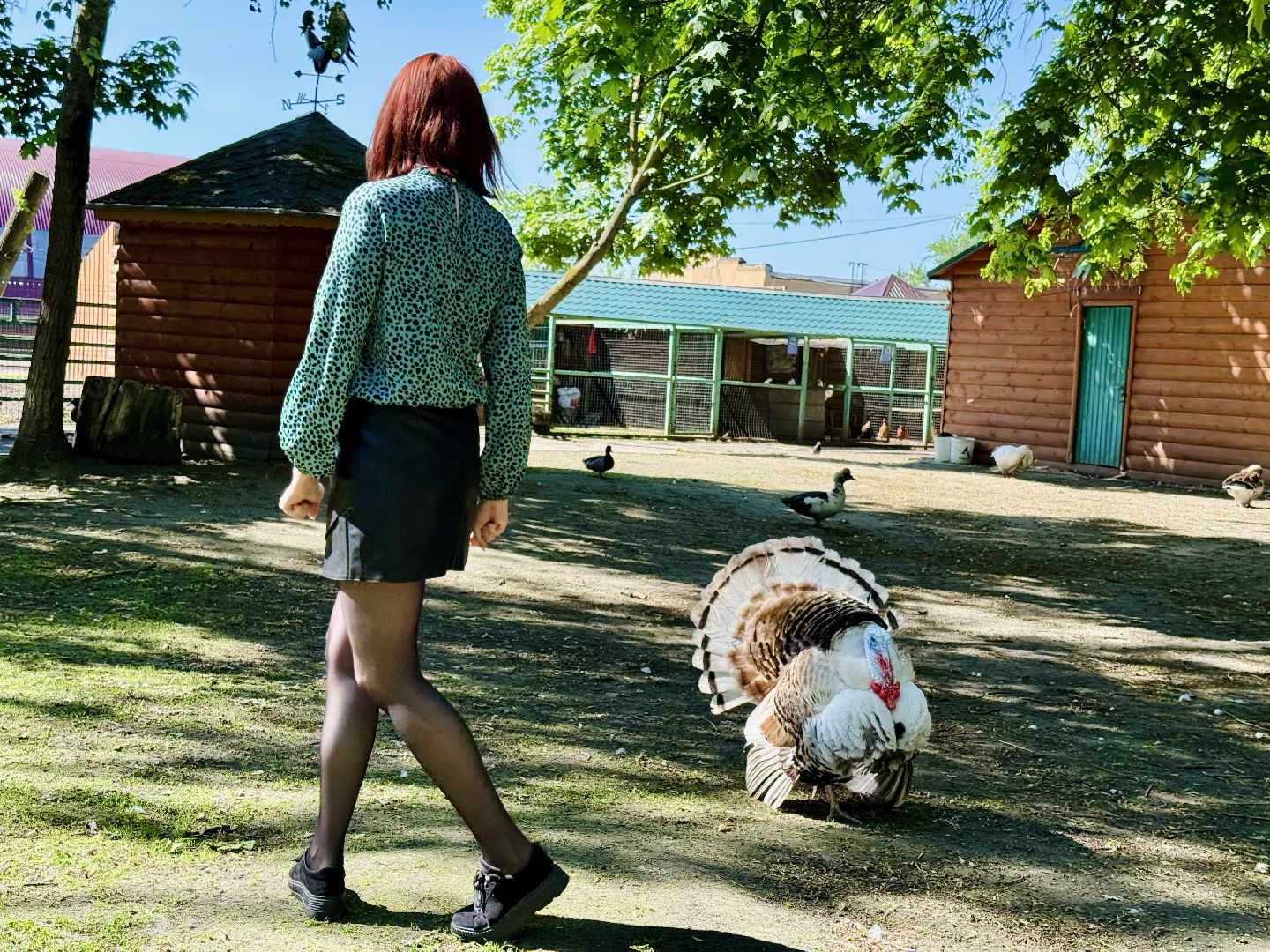 раменское, гжель, зоопарк,