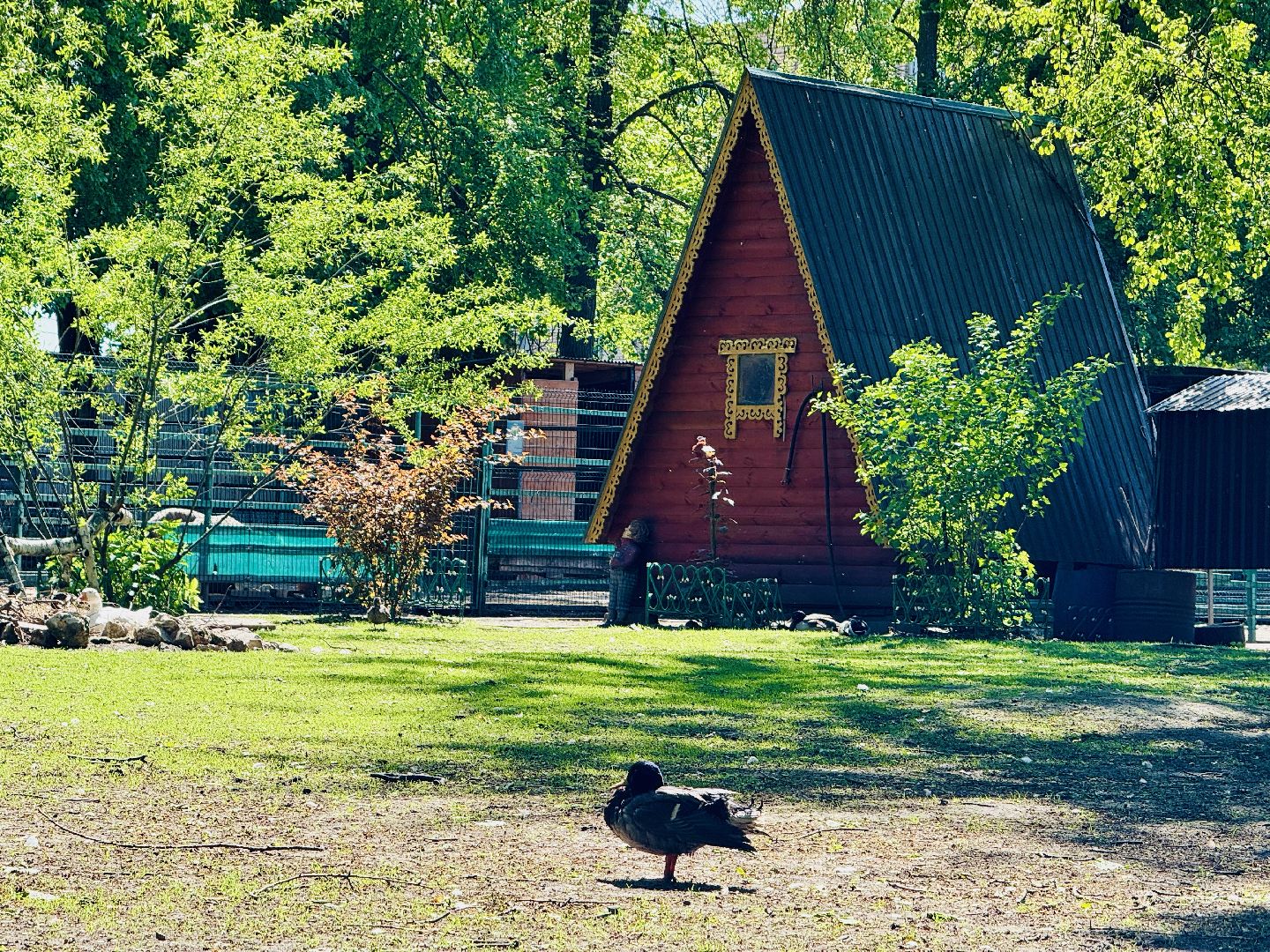 раменское, гжель, зоопарк,