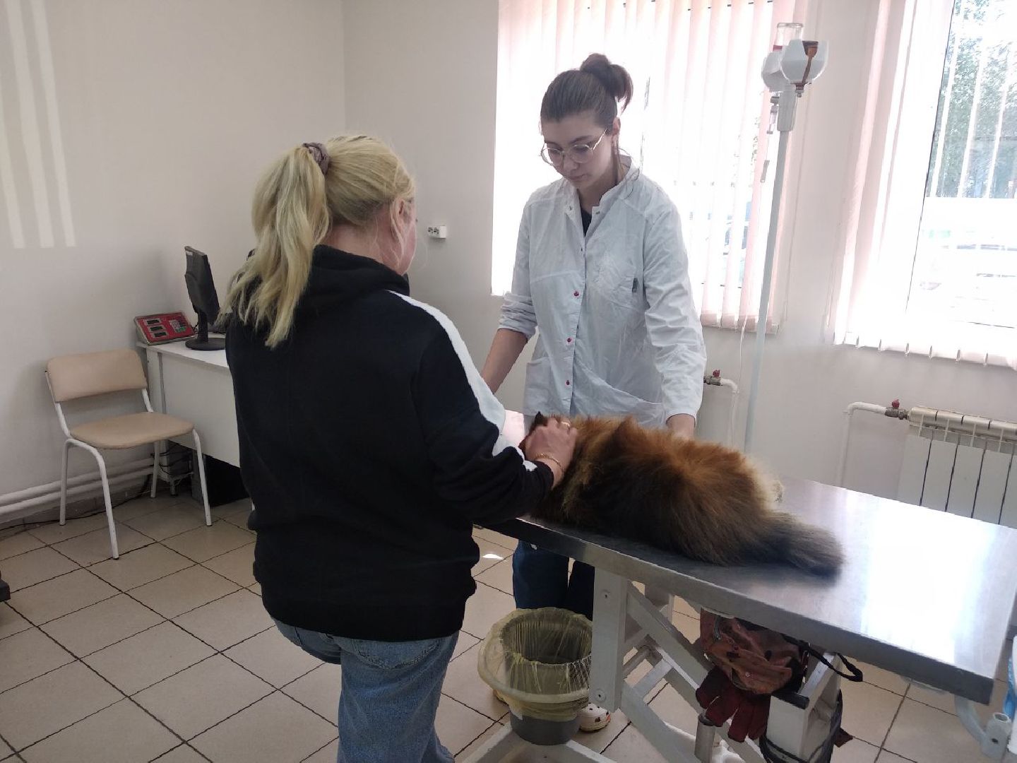 Дмитров, Ветеринарная станция, Минсельхоз МО