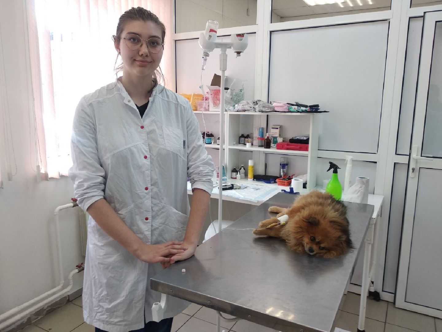 Дмитров, Ветеринарная станция, Минсельхоз МО