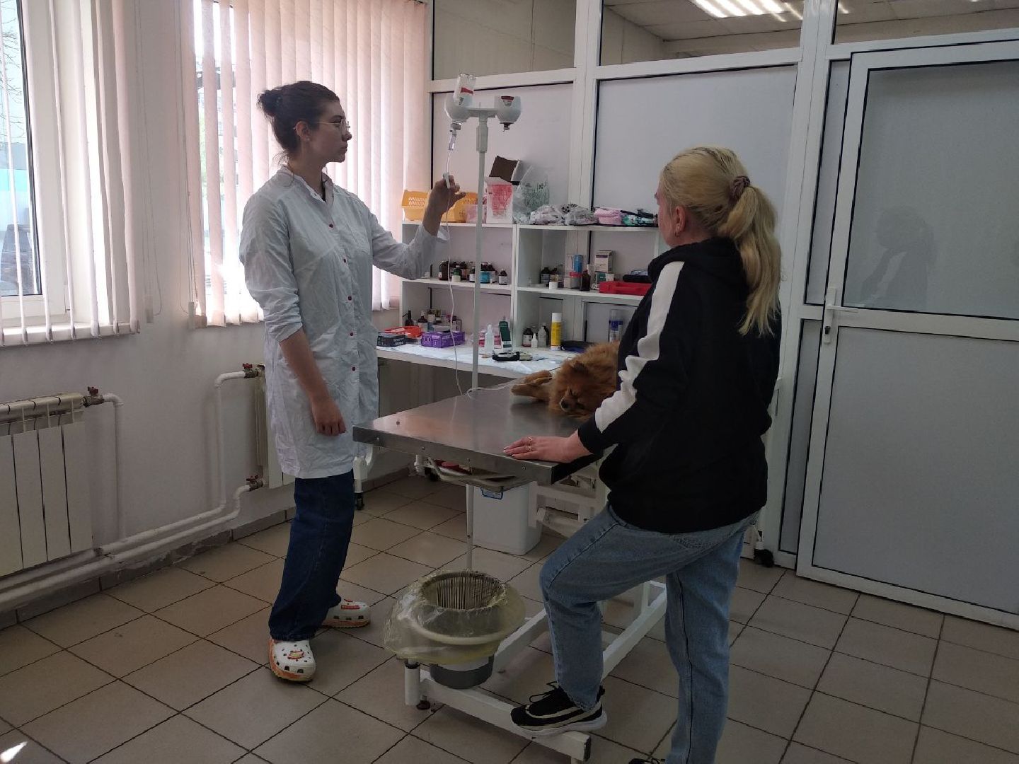 Дмитров, Ветеринарная станция, Минсельхоз МО