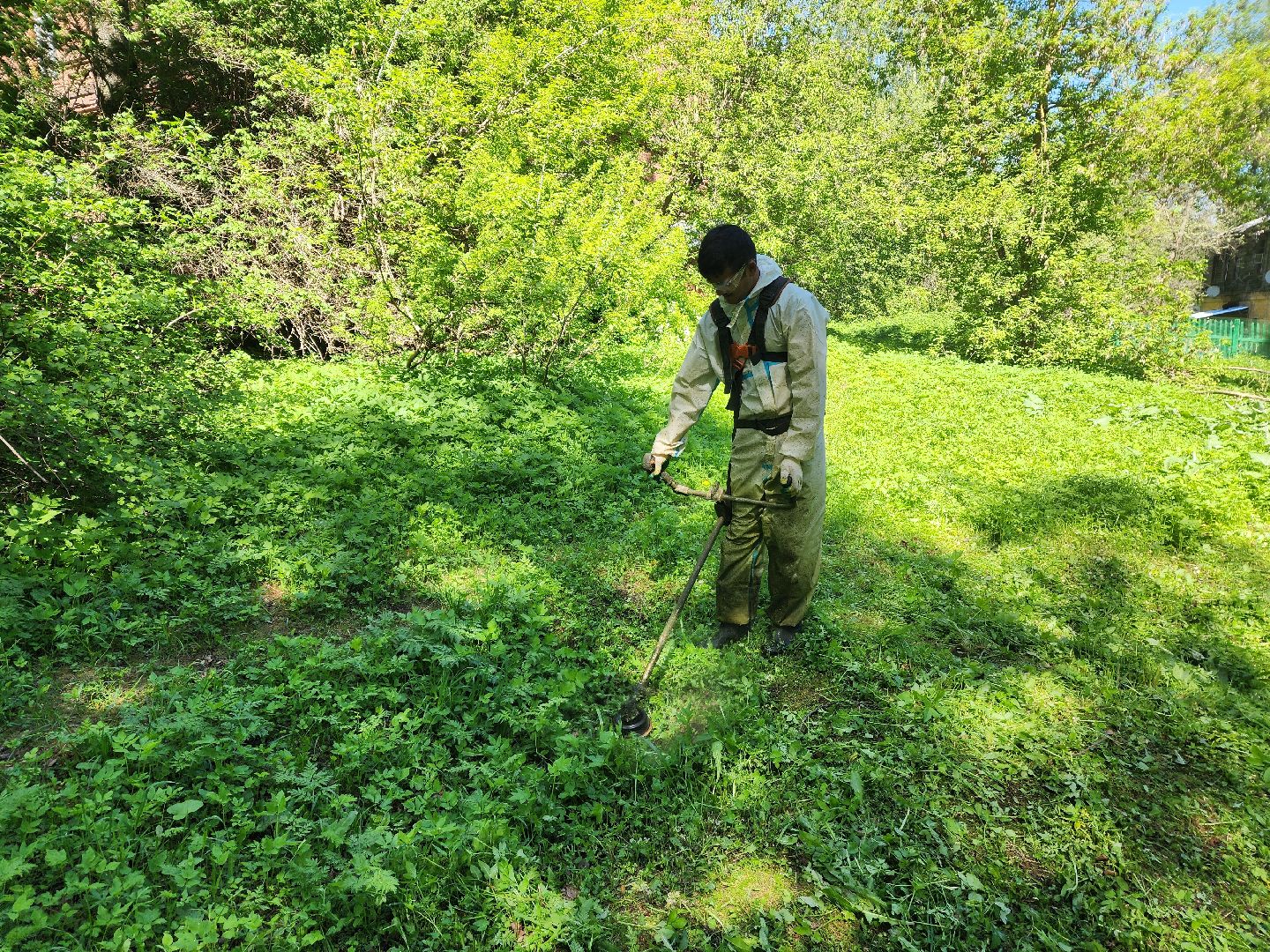 красноармейск, городской округ пушкинский, покос травы, благоустройство 2025,