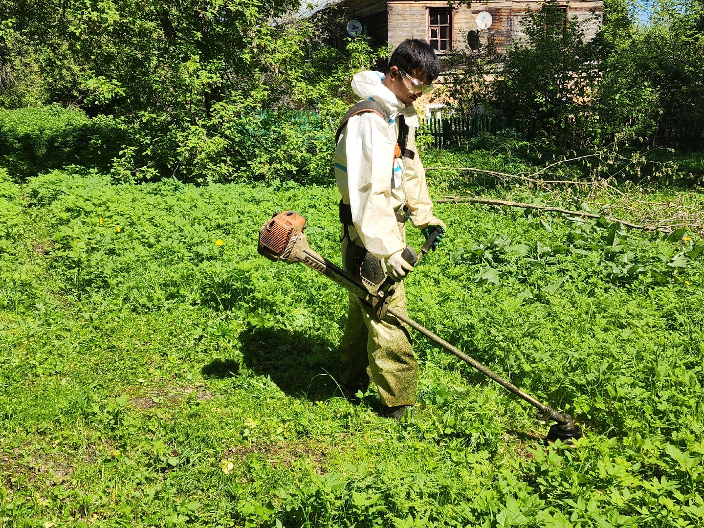 красноармейск, городской округ пушкинский, покос травы, благоустройство 2025,