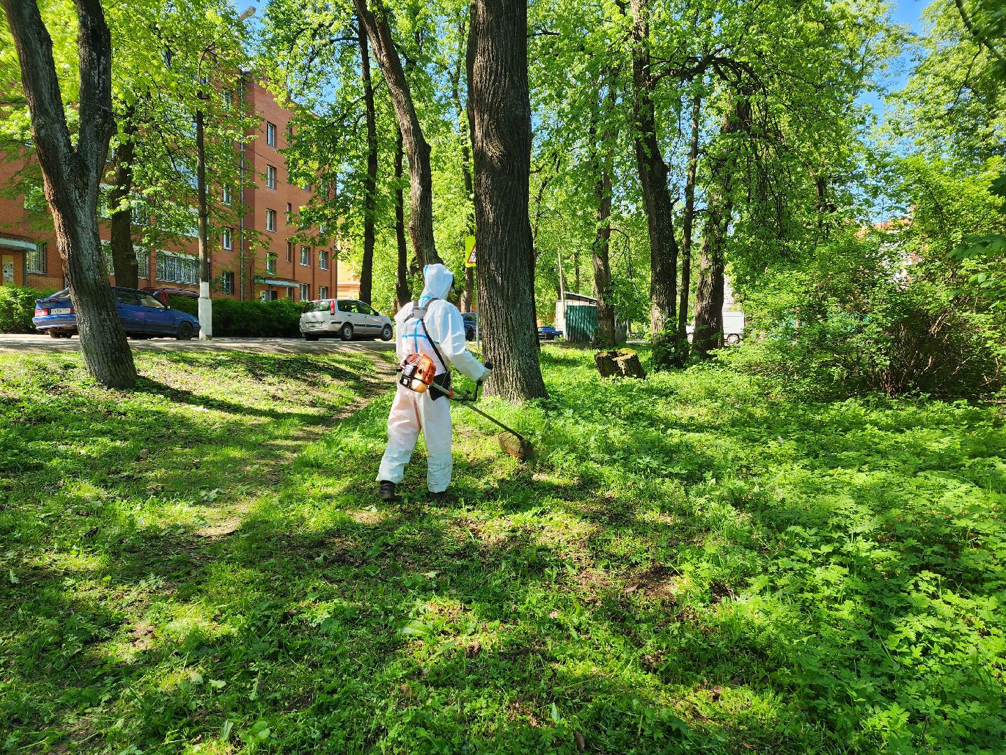 красноармейск, городской округ пушкинский, покос травы, благоустройство 2025,
