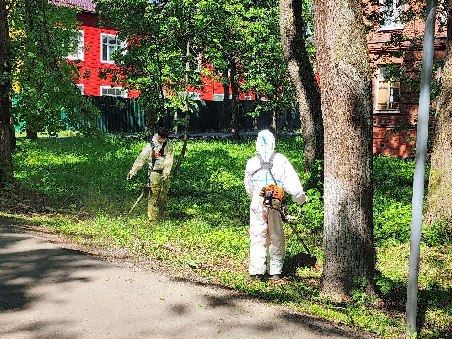 красноармейск, городской округ пушкинский, покос травы, благоустройство 2025,