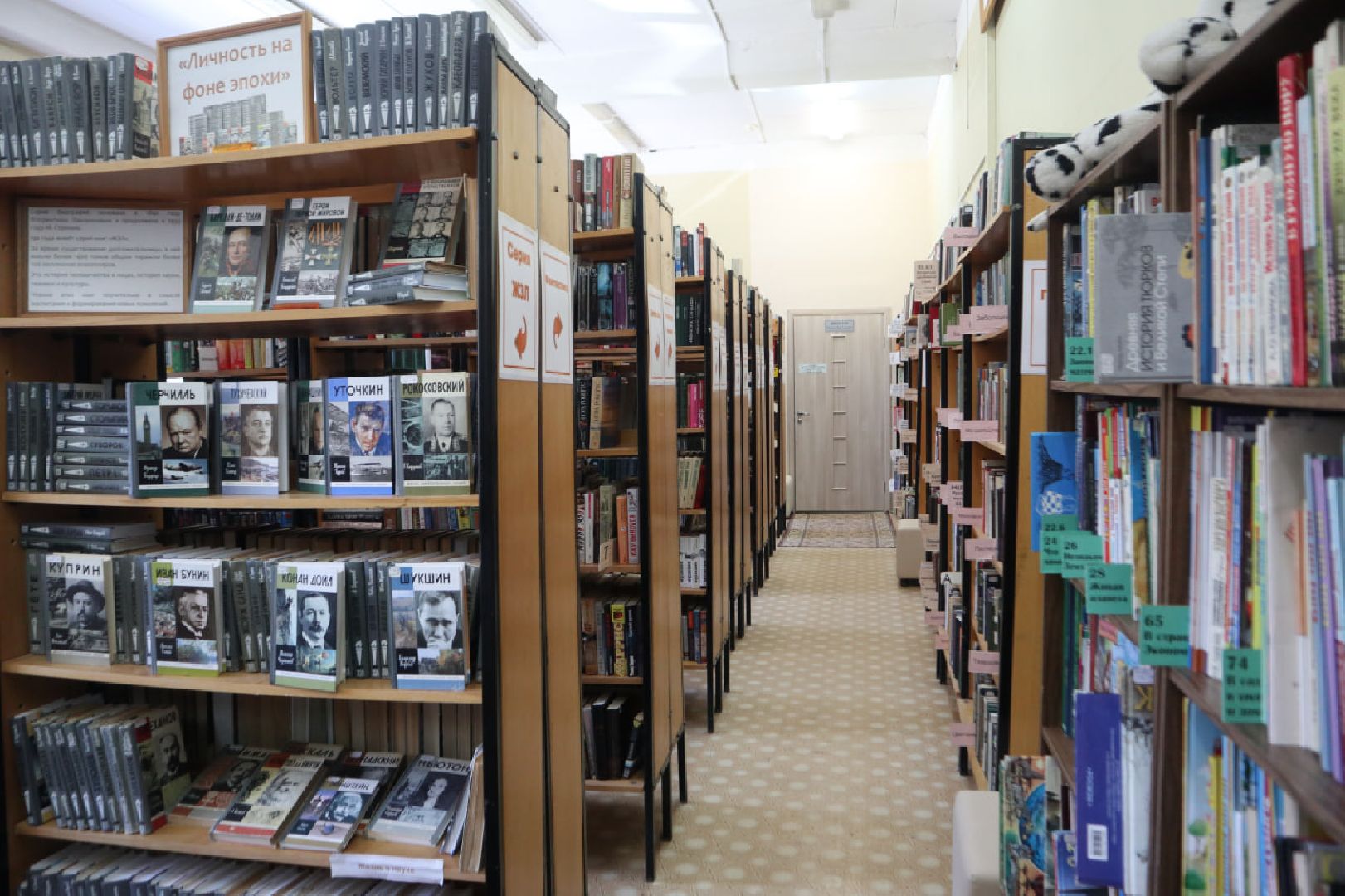 Пущино, культура, библиотеки