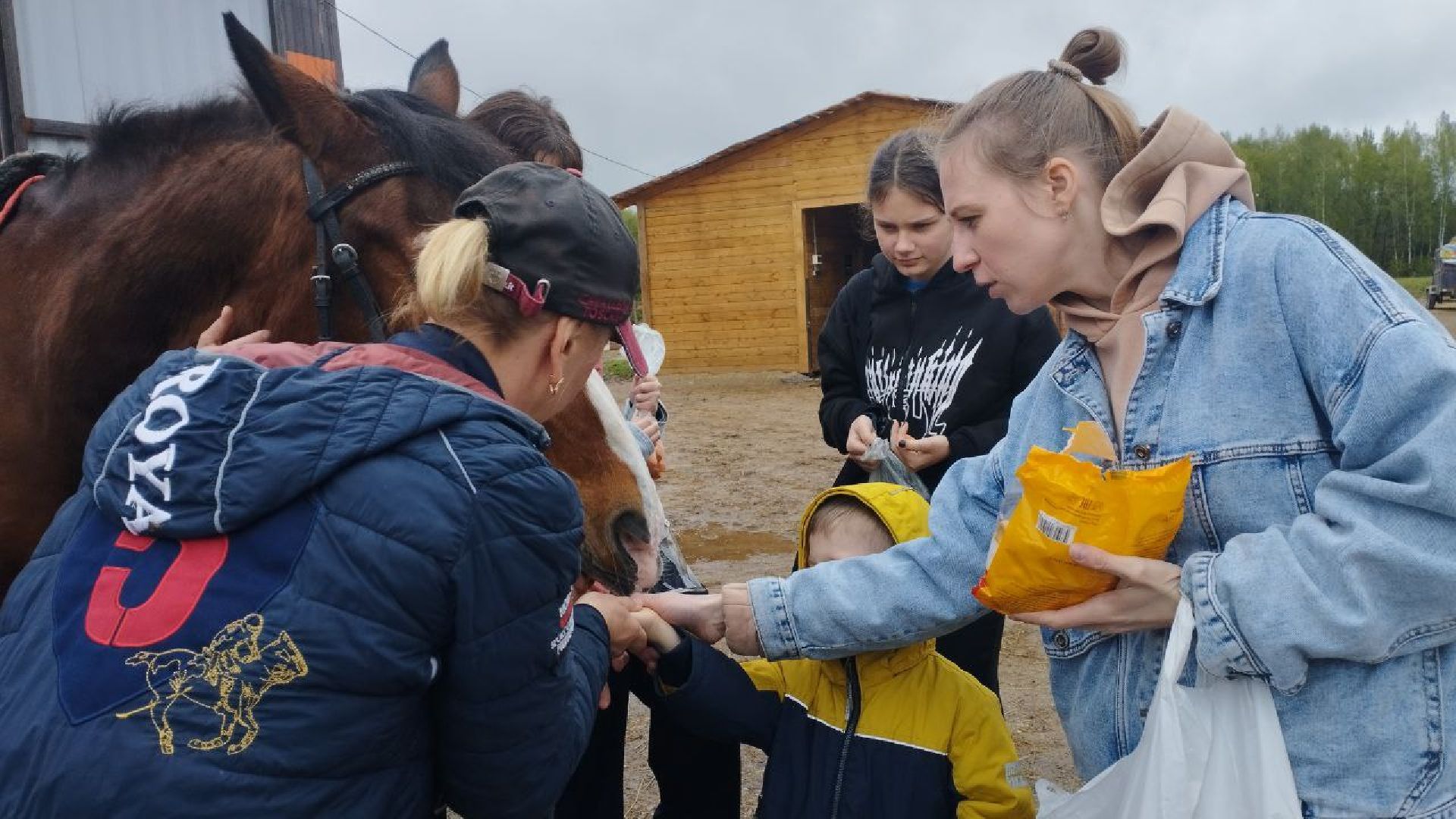 ивантеевка, центр социального обслуживания, иппотерапия, лошади, дети с овз, дети инвалиды,конный клуб,