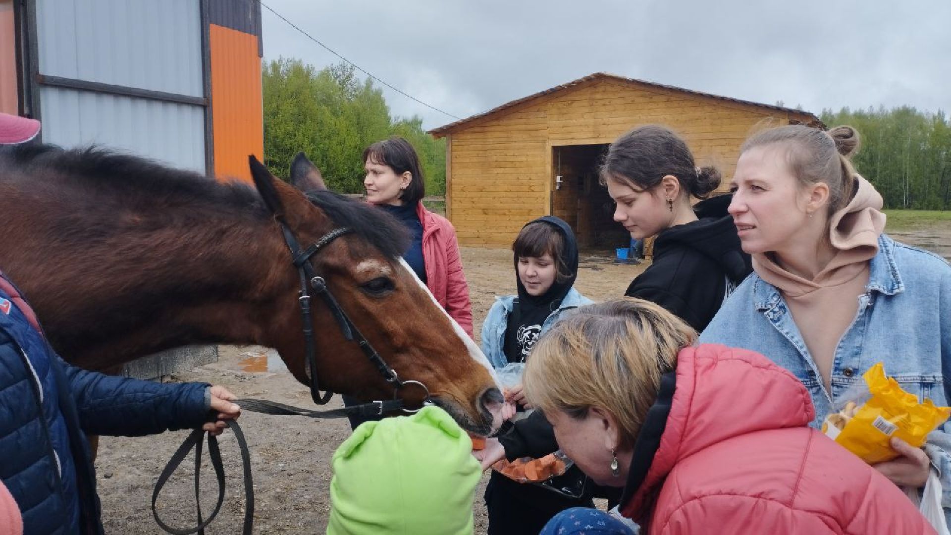 ивантеевка, центр социального обслуживания, иппотерапия, лошади, дети с овз, дети инвалиды,конный клуб,