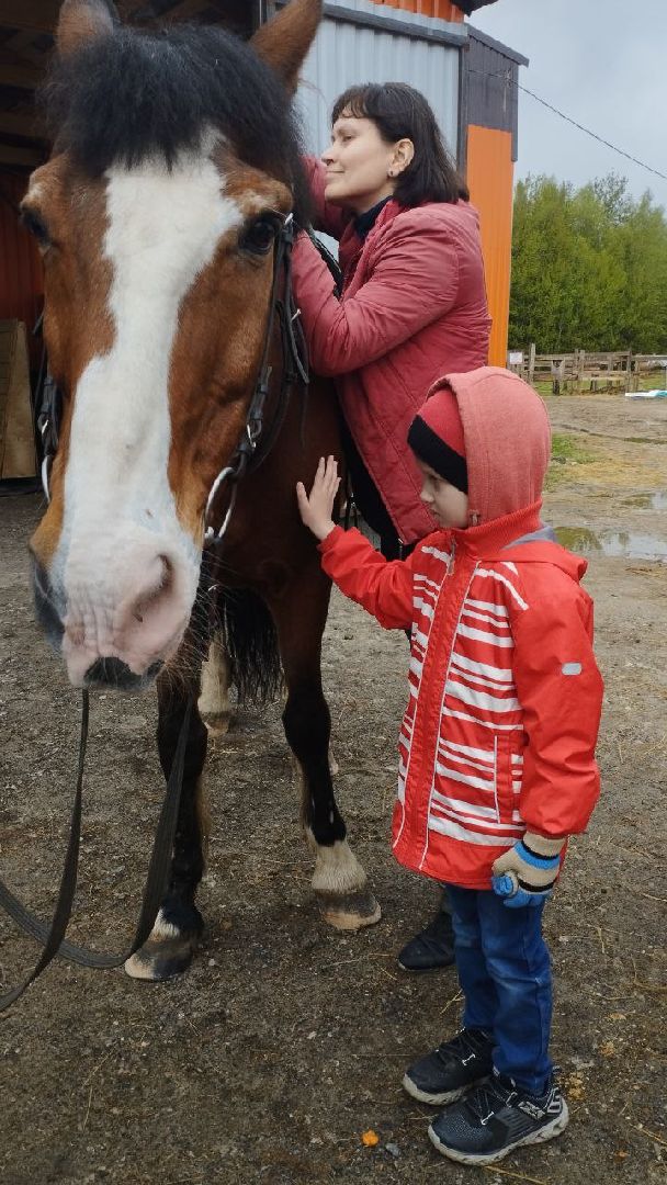 ивантеевка, центр социального обслуживания, иппотерапия, лошади, дети с овз, дети инвалиды,конный клуб,
