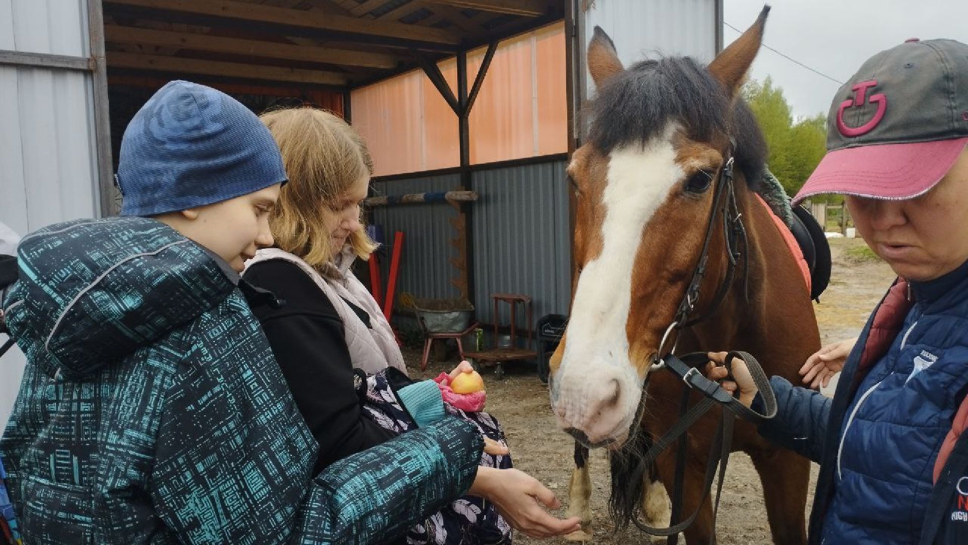 ивантеевка, центр социального обслуживания, иппотерапия, лошади, дети с овз, дети инвалиды,конный клуб,