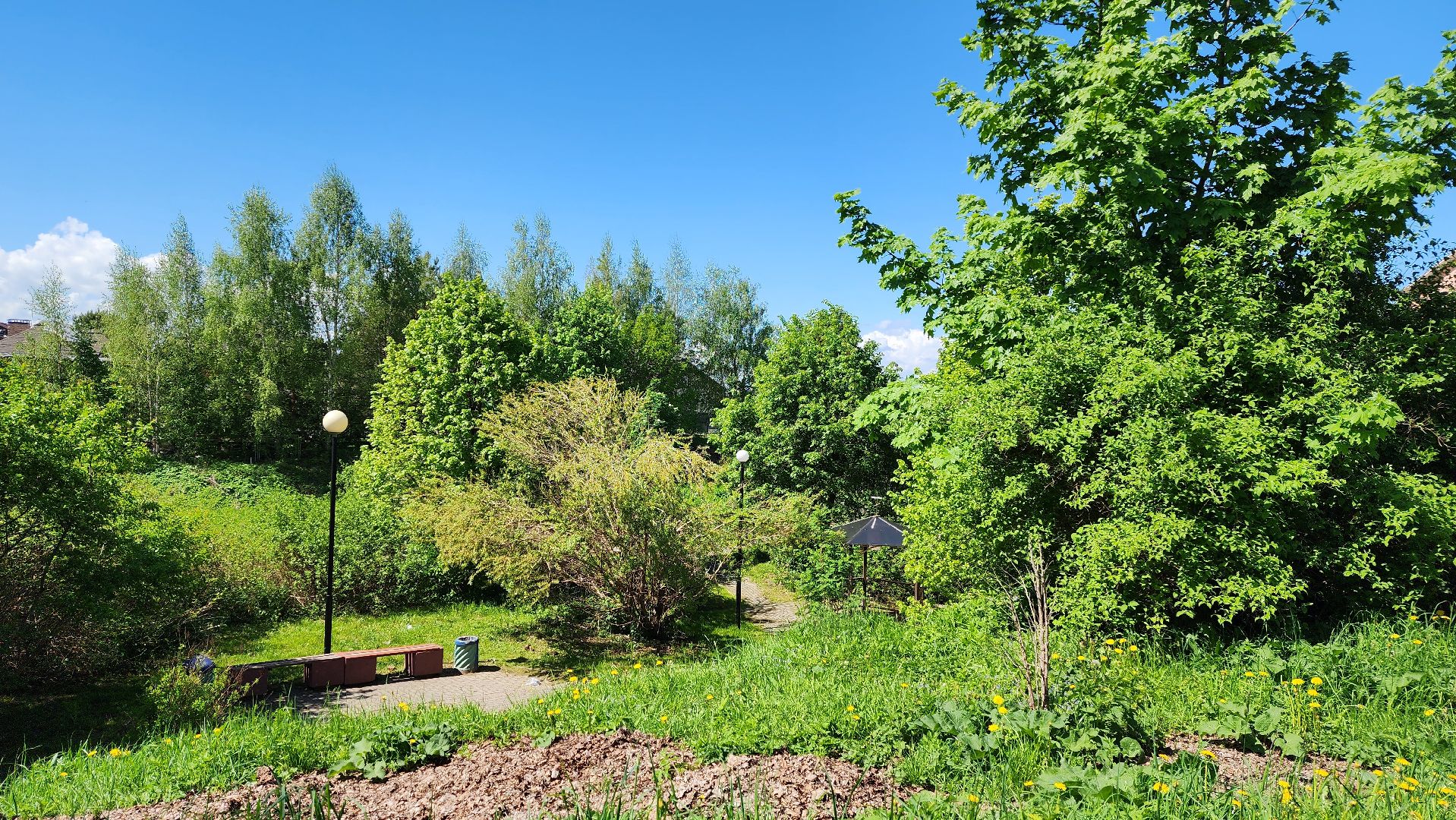 истра, благоустройство, голосование за благоустройство,