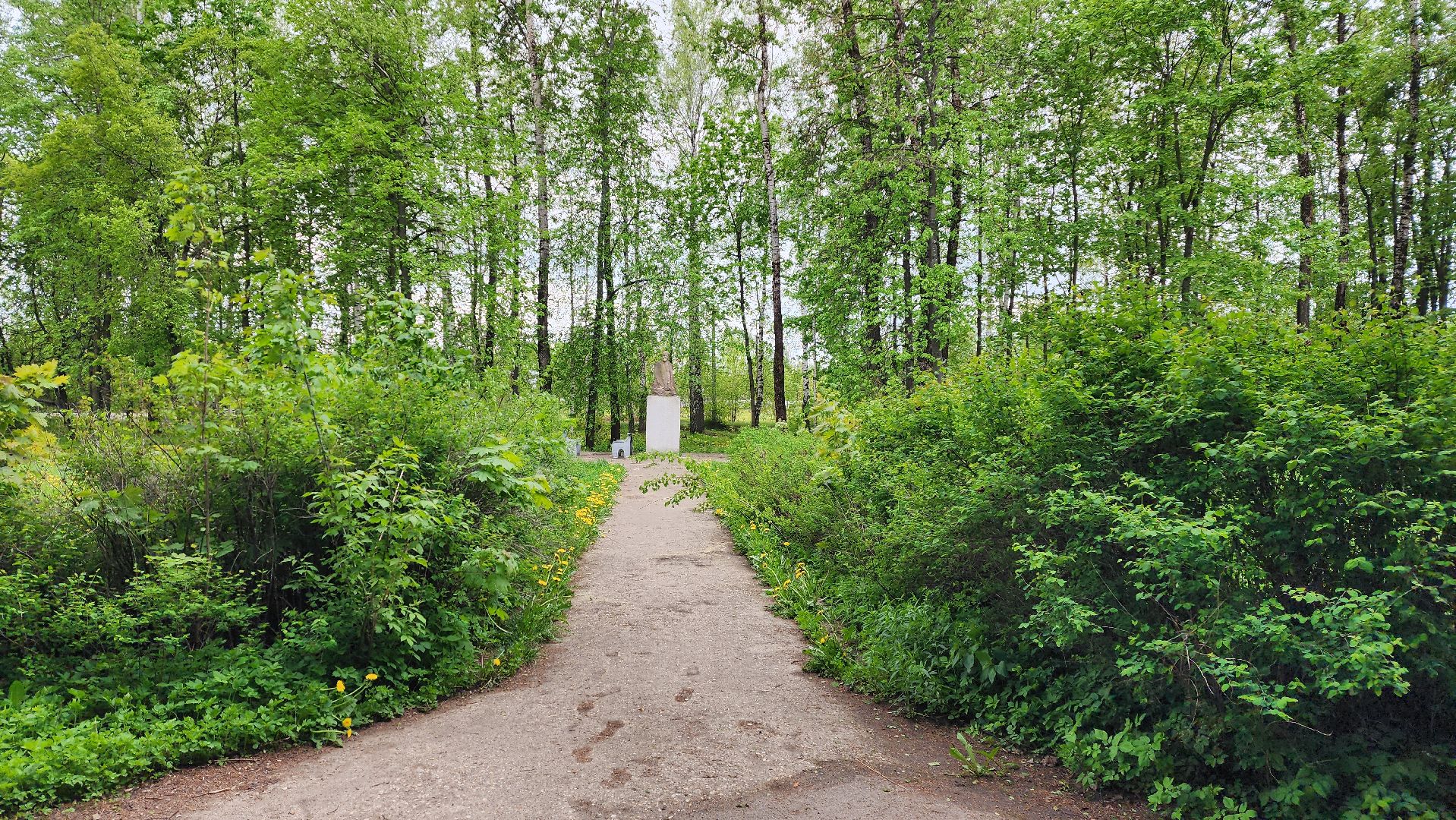 истра, благоустройство, голосование за благоустройство,