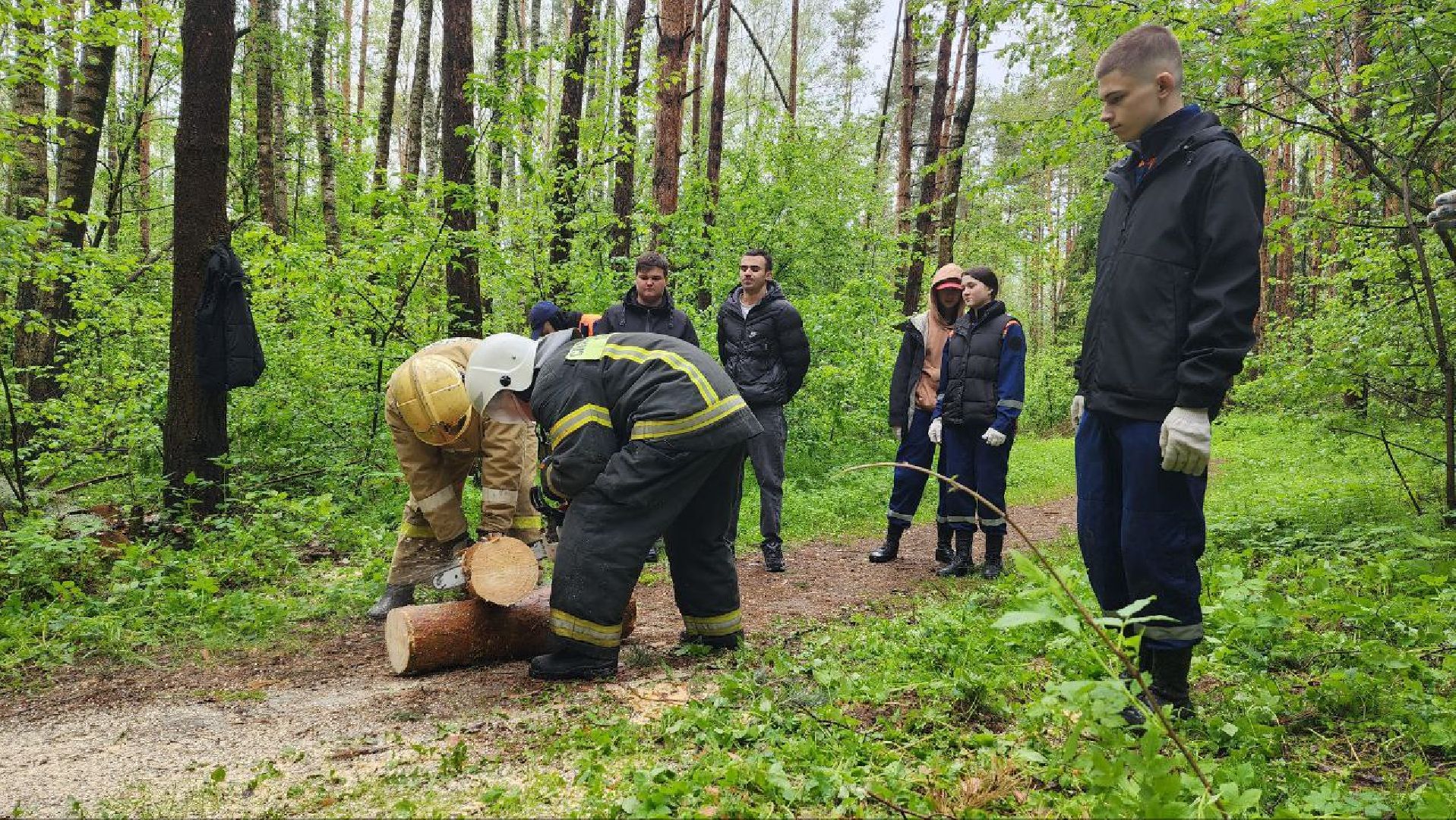 Дмитров, ЦЗВС, Дмитровский техникум, Благоустройство, Спасатели,