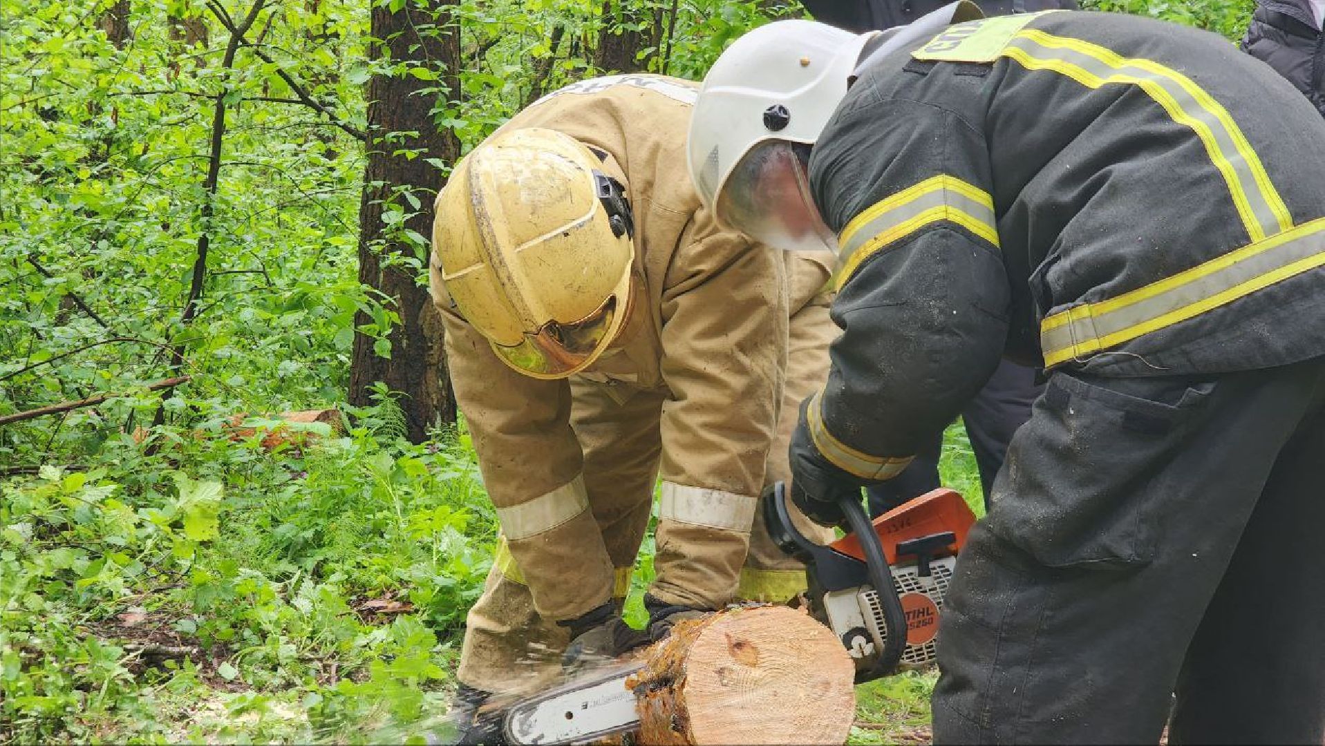 Дмитров, ЦЗВС, Дмитровский техникум, Благоустройство, Спасатели,