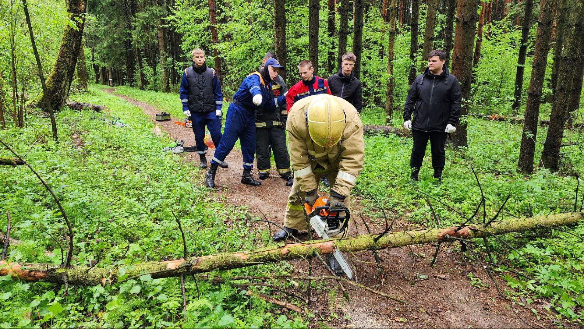 Дмитров, ЦЗВС, Дмитровский техникум, Благоустройство, Спасатели,