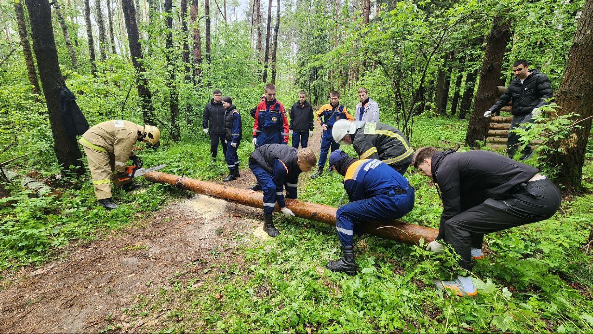 Дмитров, ЦЗВС, Дмитровский техникум, Благоустройство, Спасатели,