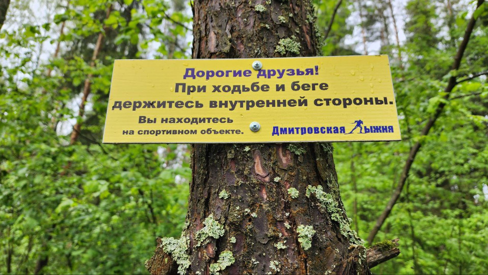 Дмитров, ЦЗВС, Дмитровский техникум, Благоустройство, Спасатели,