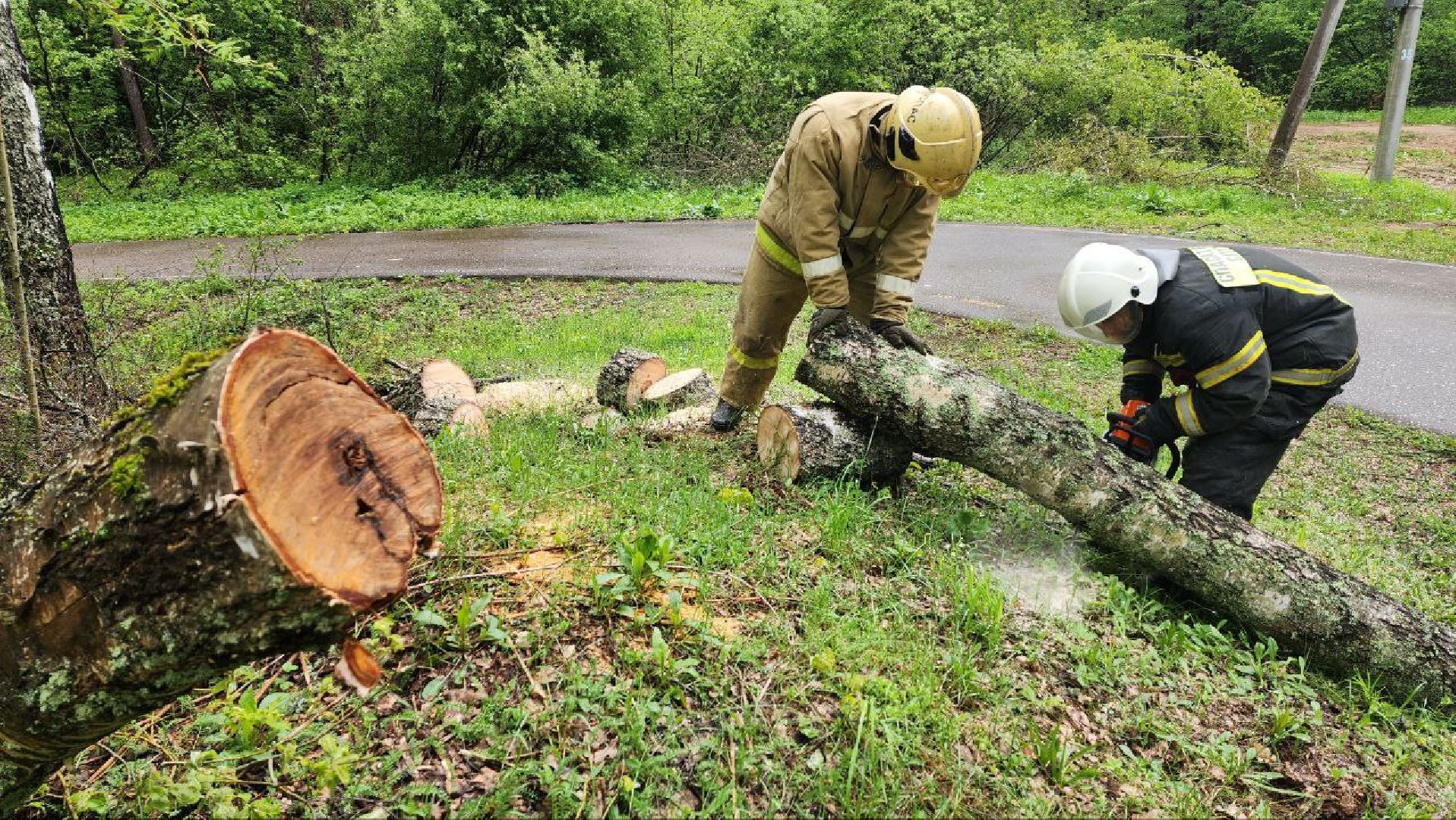 Дмитров, ЦЗВС, Дмитровский техникум, Благоустройство, Спасатели,