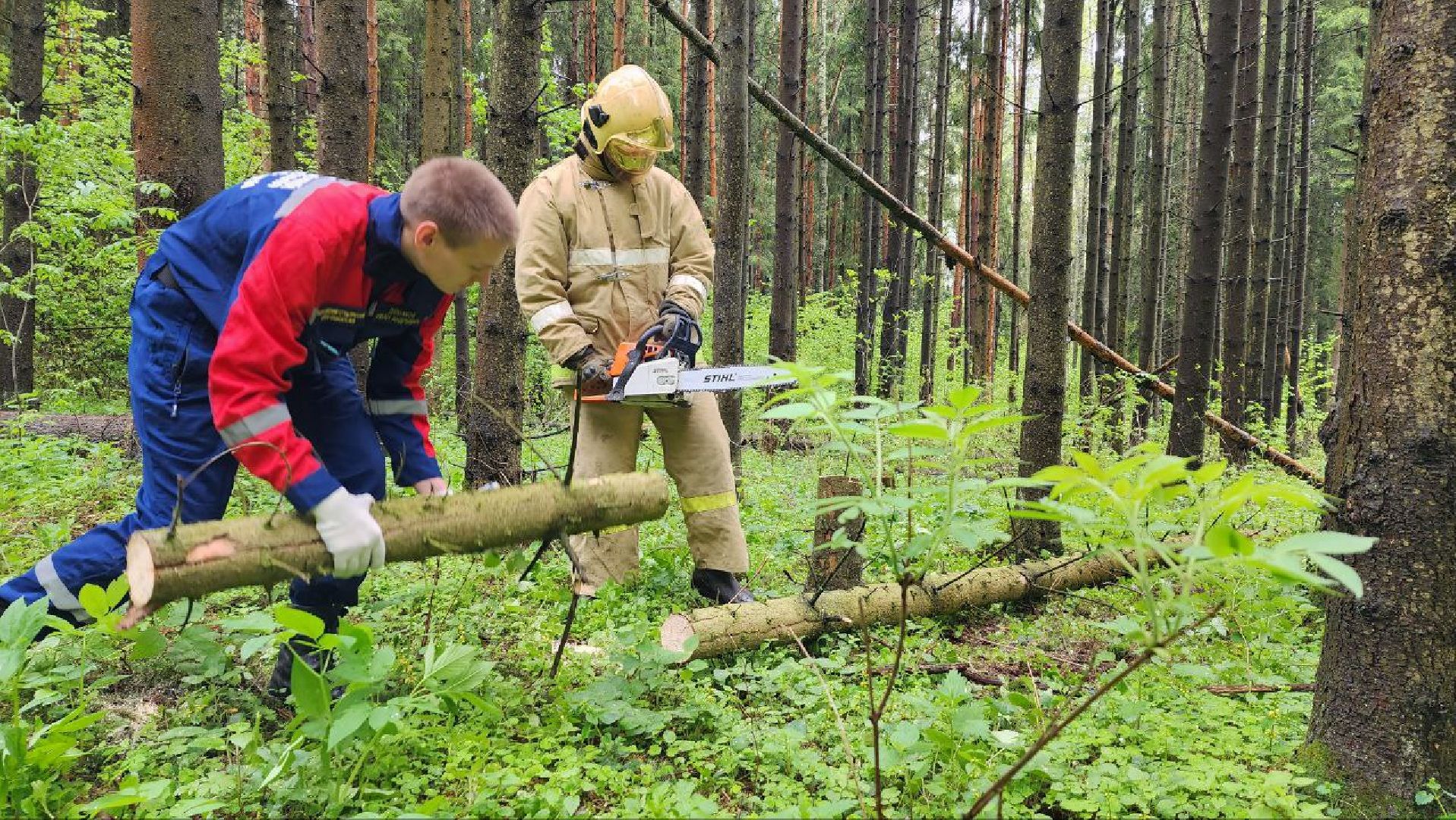 Дмитров, ЦЗВС, Дмитровский техникум, Благоустройство, Спасатели,