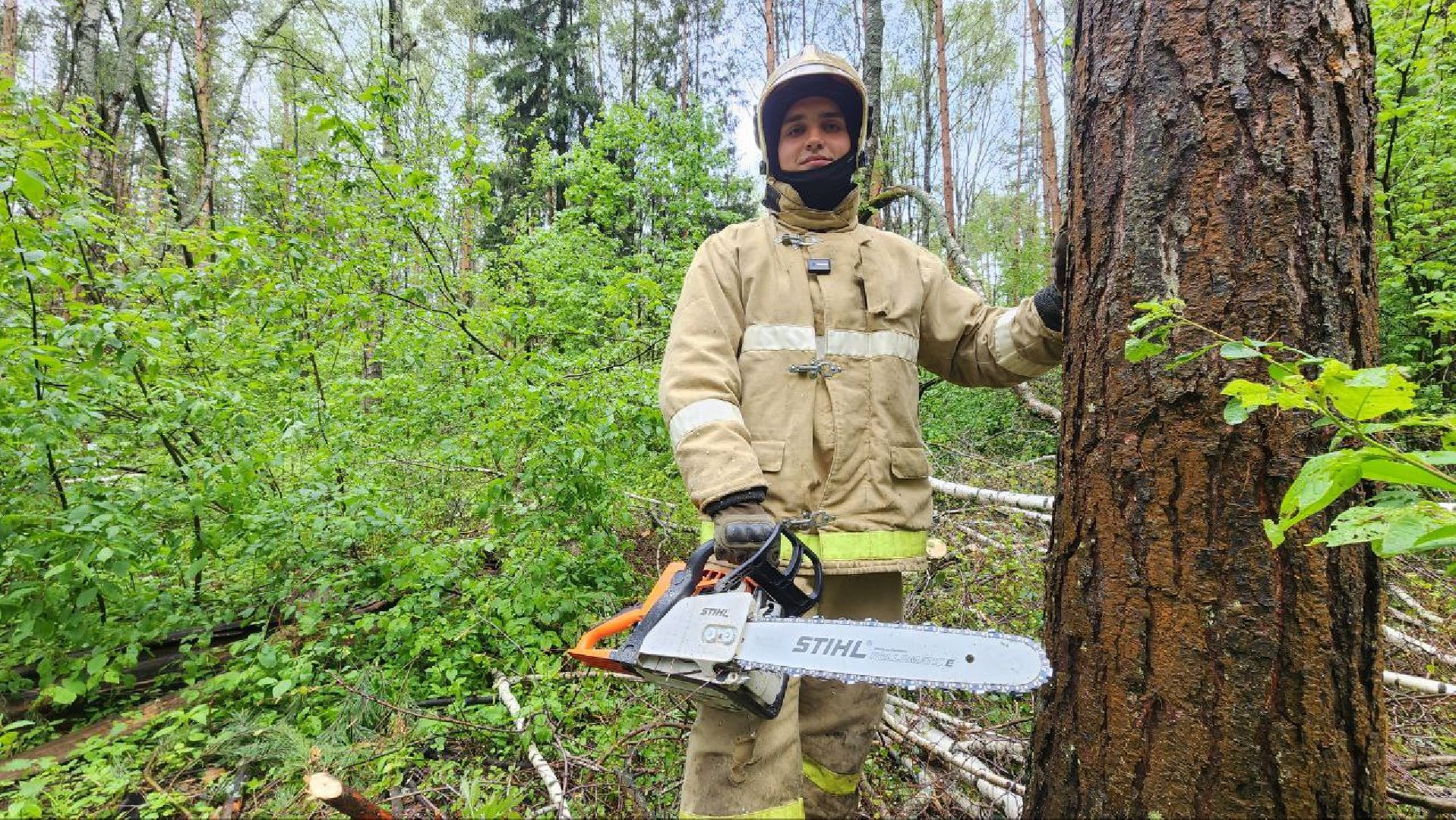 Дмитров, ЦЗВС, Дмитровский техникум, Благоустройство, Спасатели,