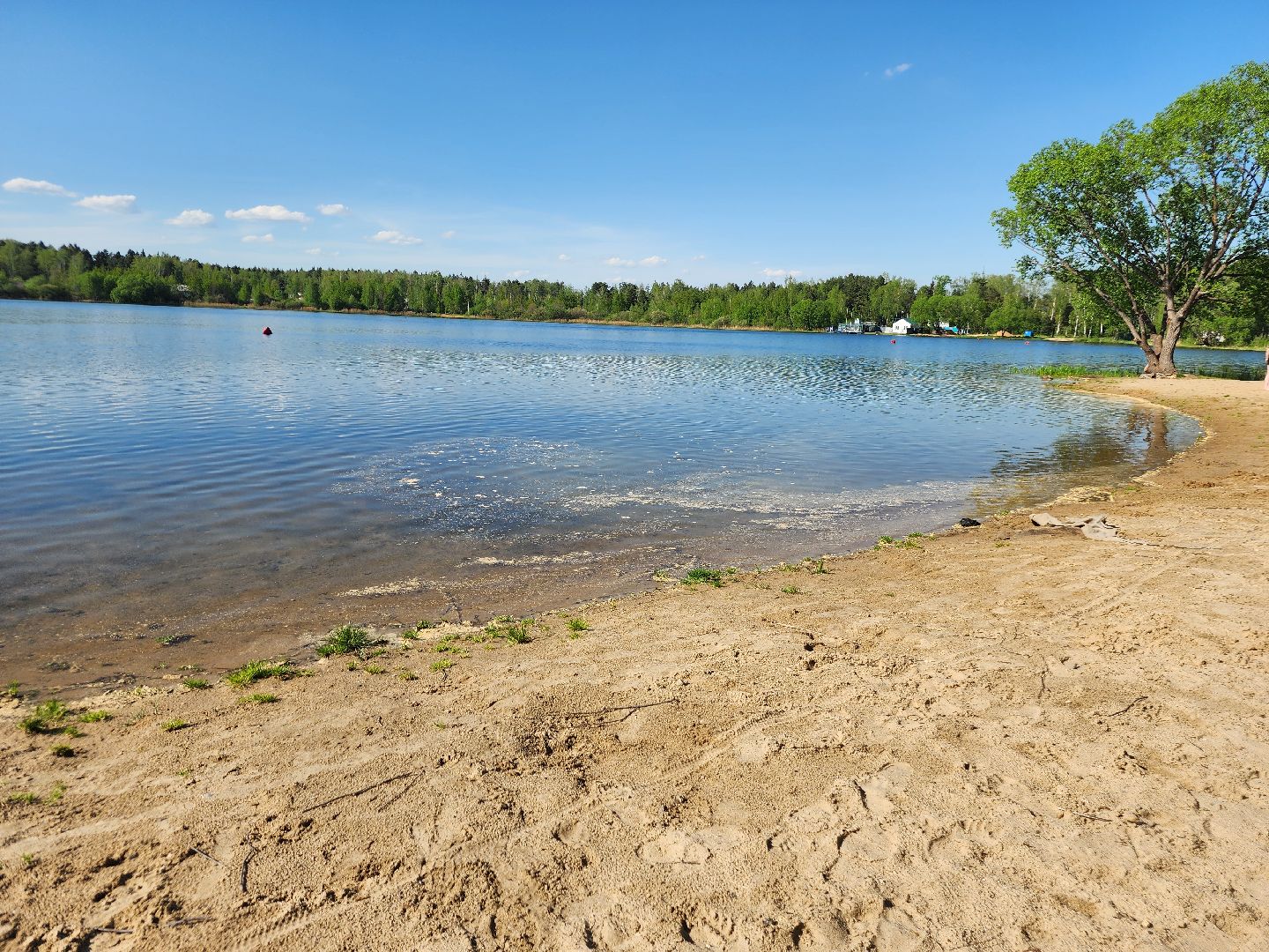 фрязино, пляж, летний отдых, пляжный сезон,