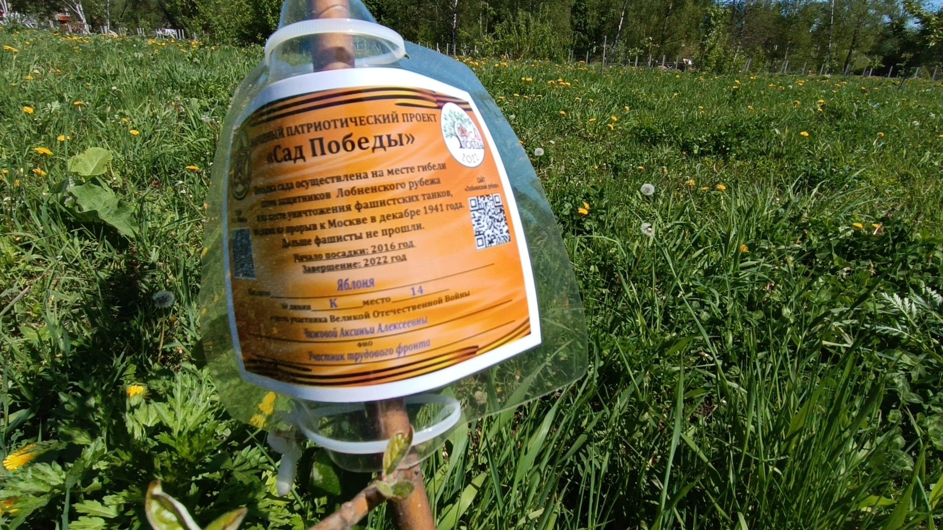 сквер, лобня, строительство,