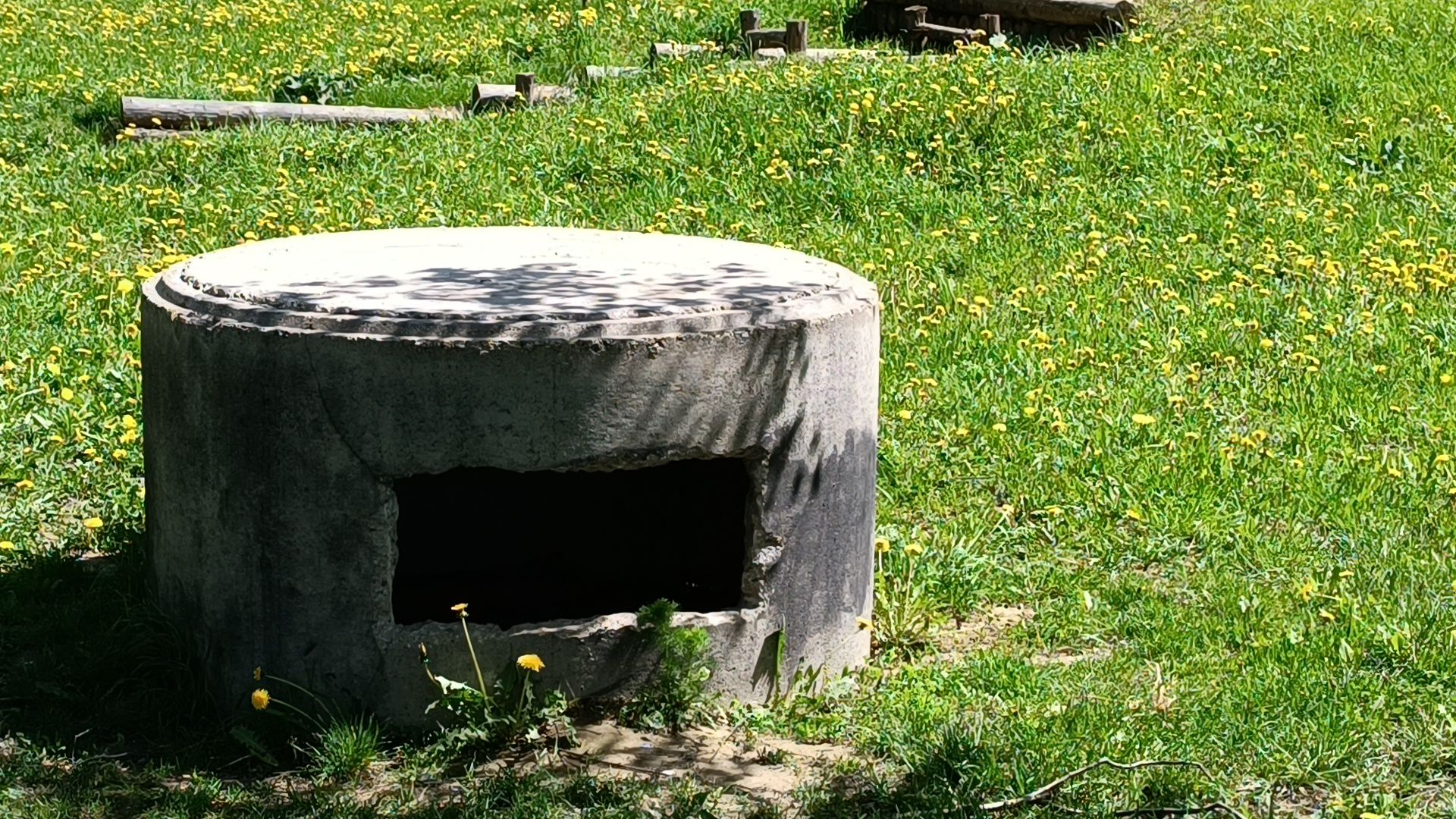 сквер, лобня, строительство,