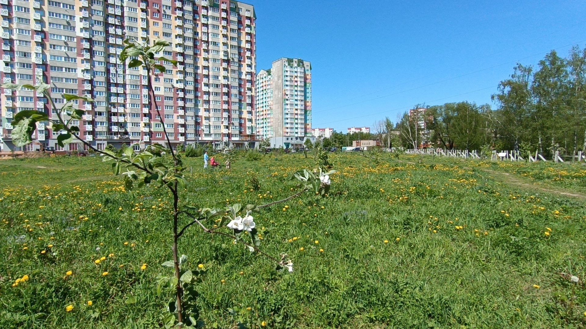 сквер, лобня, строительство,