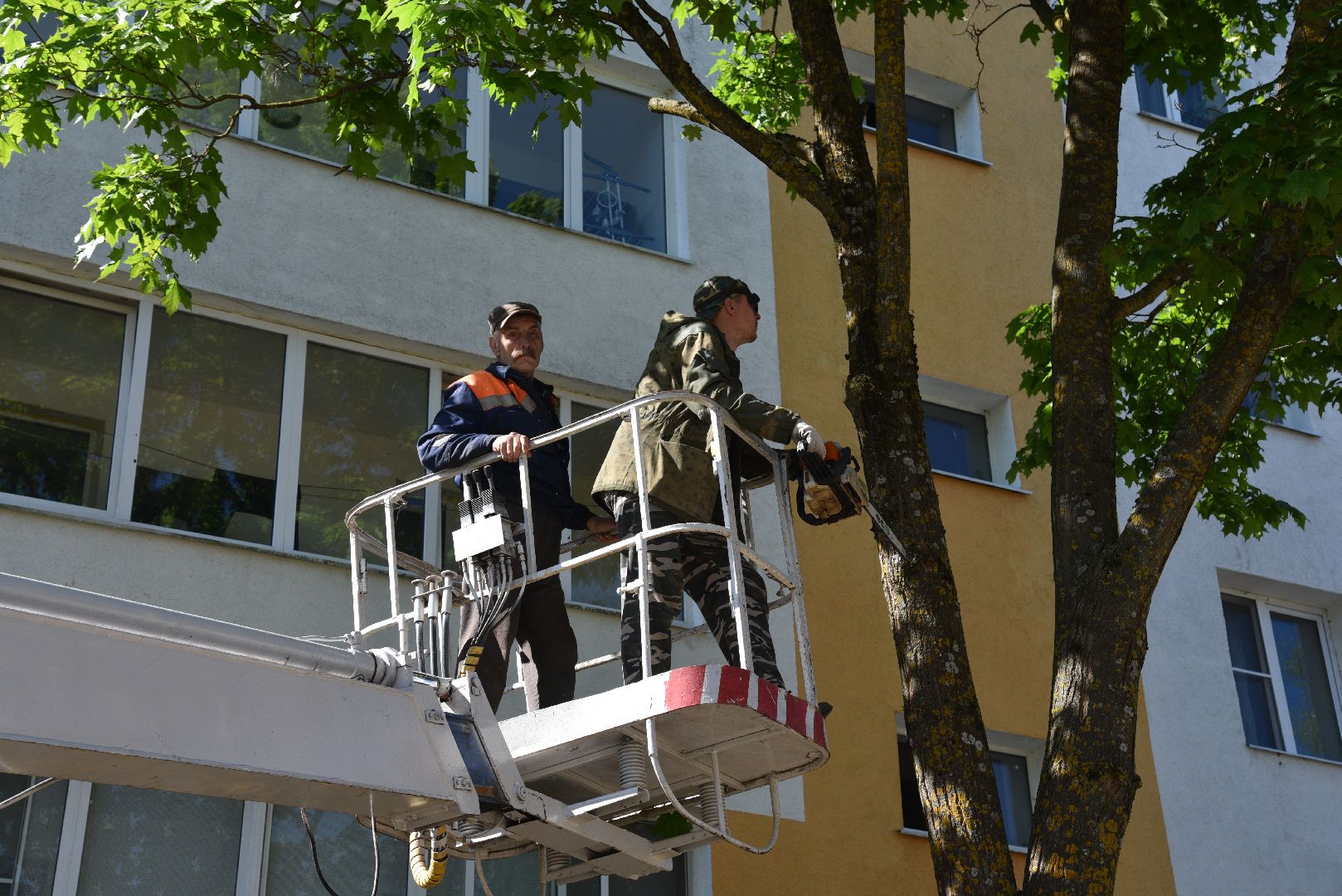 лотошино, добродел, обращение жителей, благоустройство, жкх,