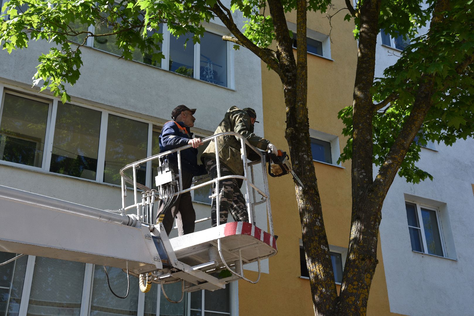 лотошино, добродел, обращение жителей, благоустройство, жкх,