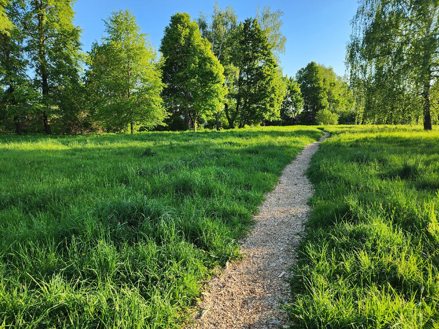 Зарайск, Благоустройство, Онлайн-голосования,
