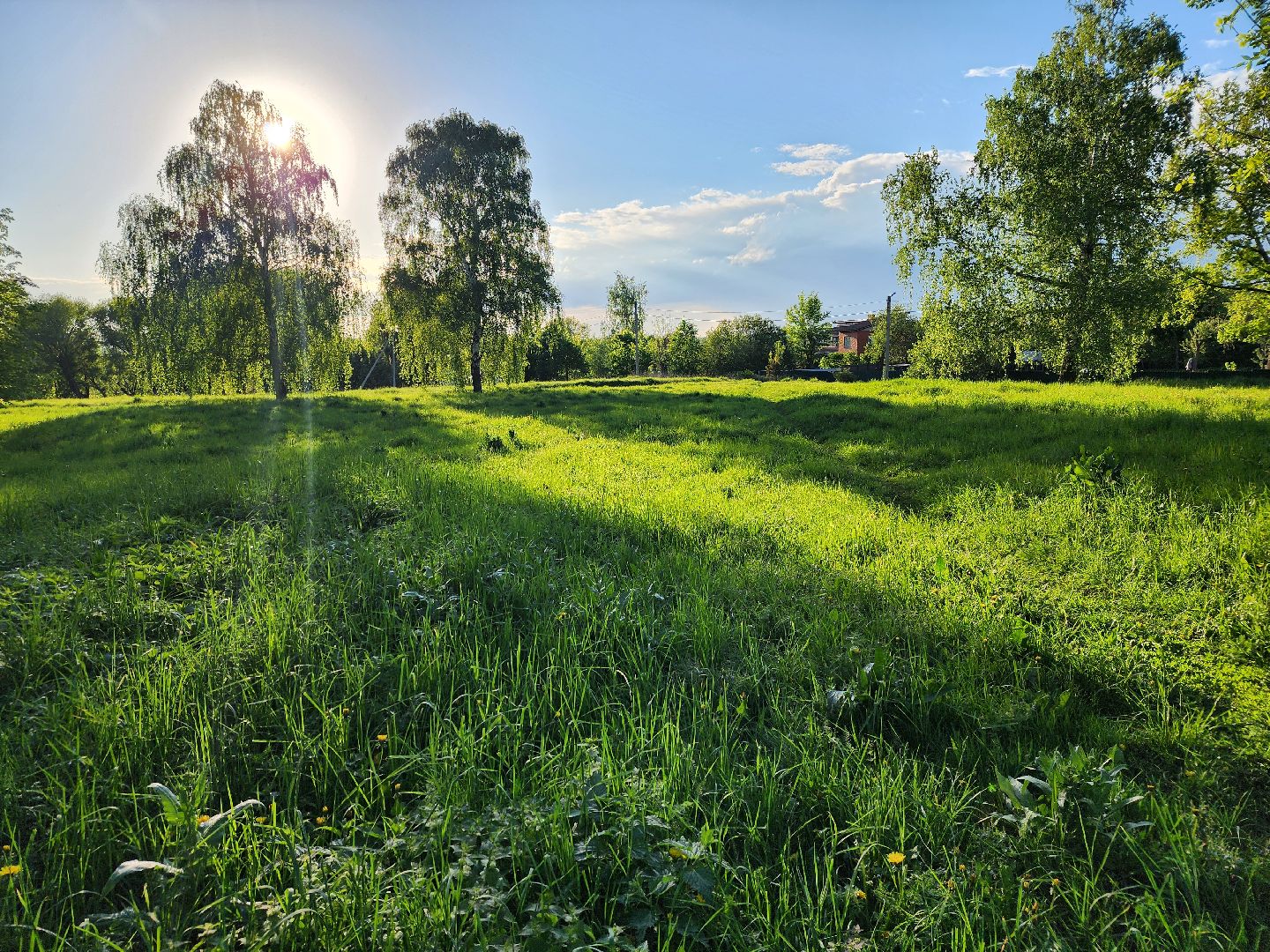 Зарайск, Благоустройство, Онлайн-голосования,