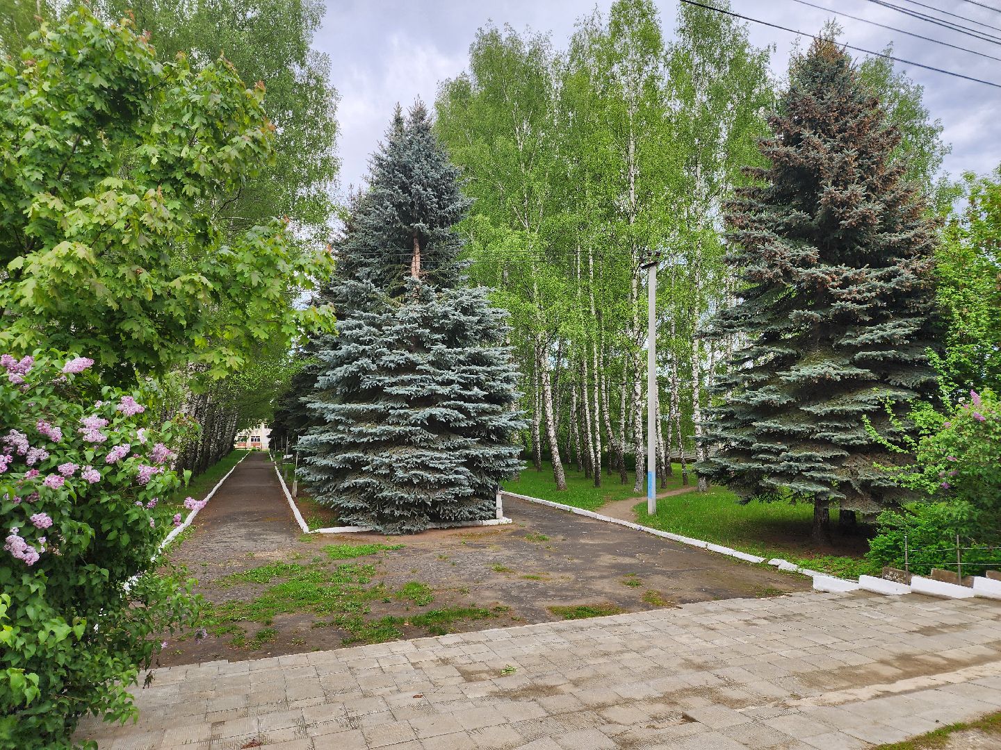 Зарайск, Благоустройство, Онлайн-голосования,