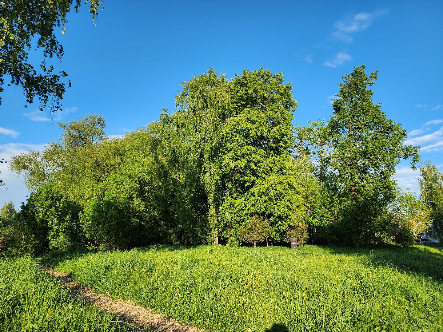 Зарайск, Благоустройство, Онлайн-голосования,
