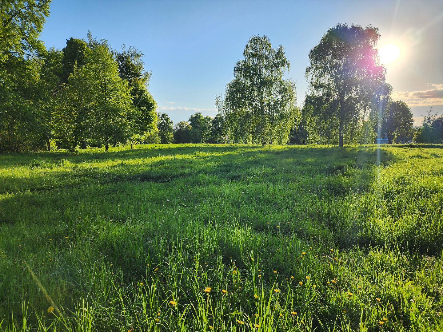 Зарайск, Благоустройство, Онлайн-голосования,