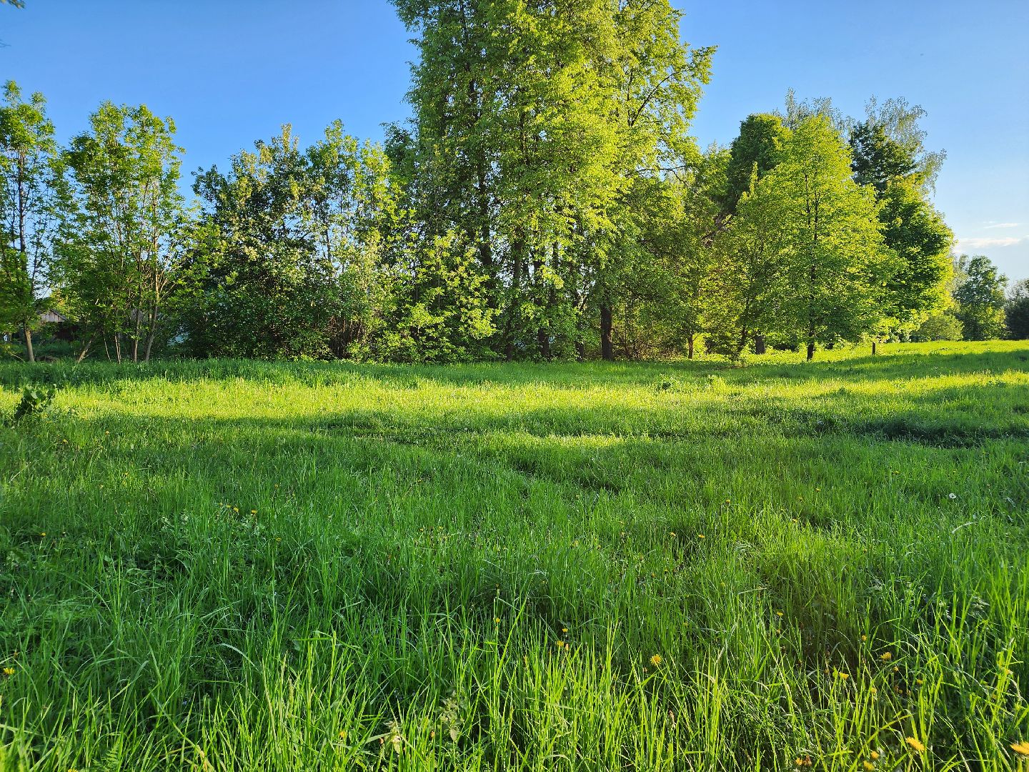Зарайск, Благоустройство, Онлайн-голосования,