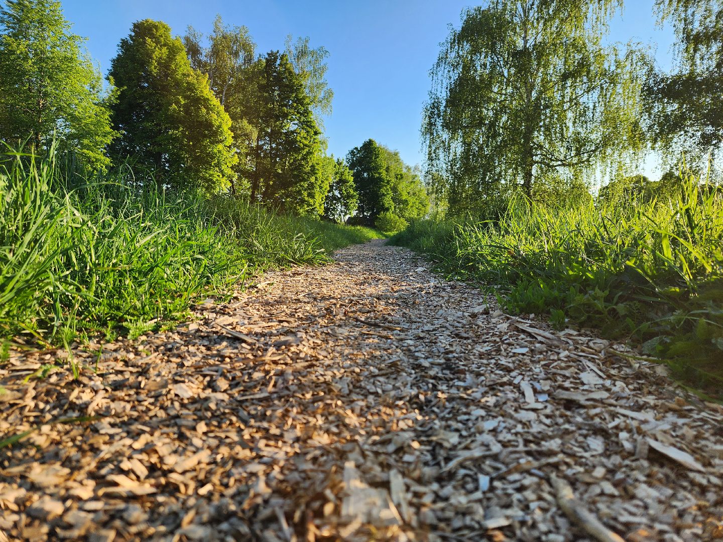 Зарайск, Благоустройство, Онлайн-голосования,