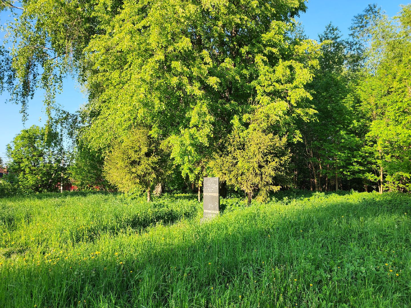 Зарайск, Благоустройство, Онлайн-голосования,