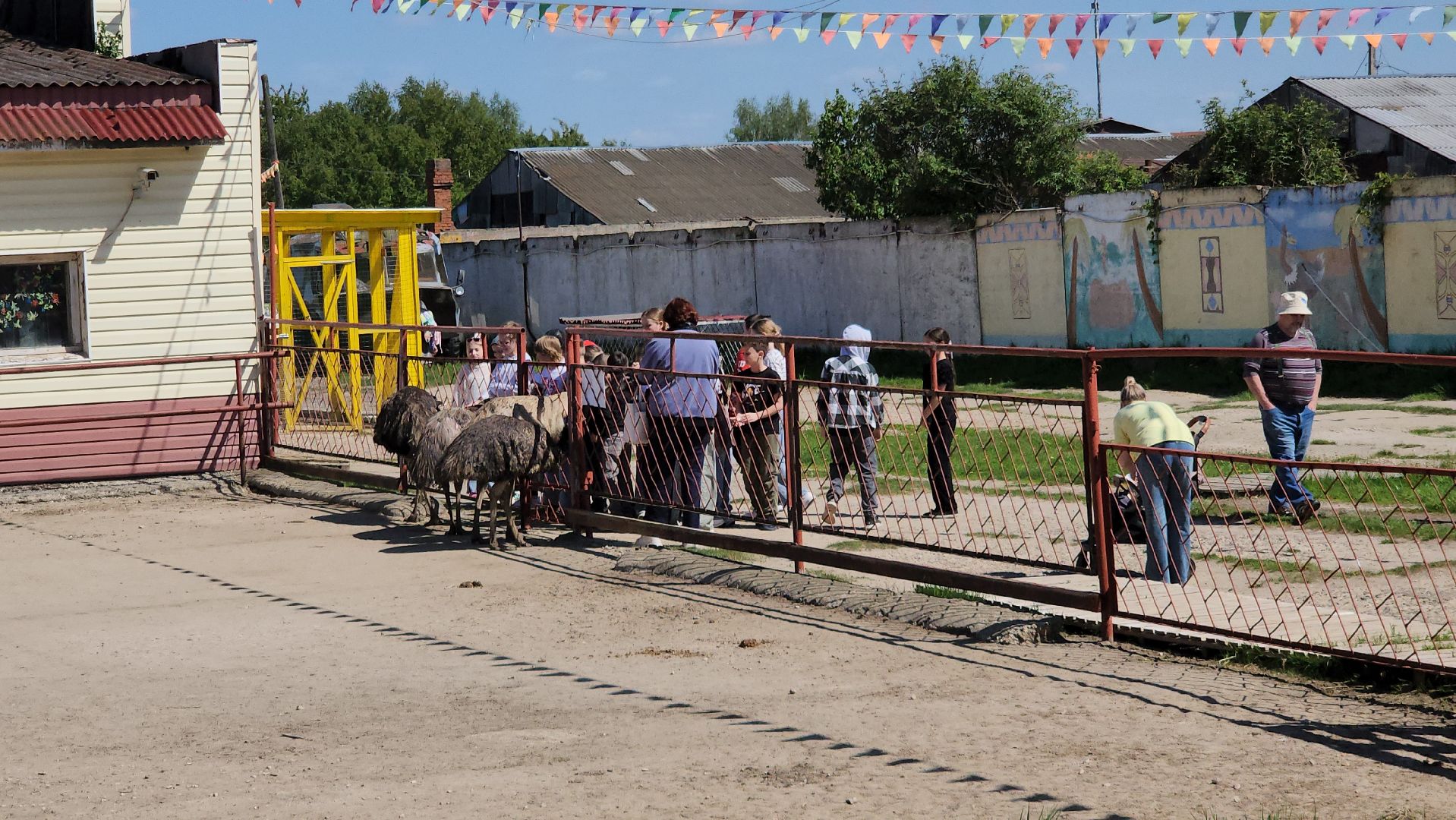 серпухов, подмосковье, страусы, эму, русский страус,