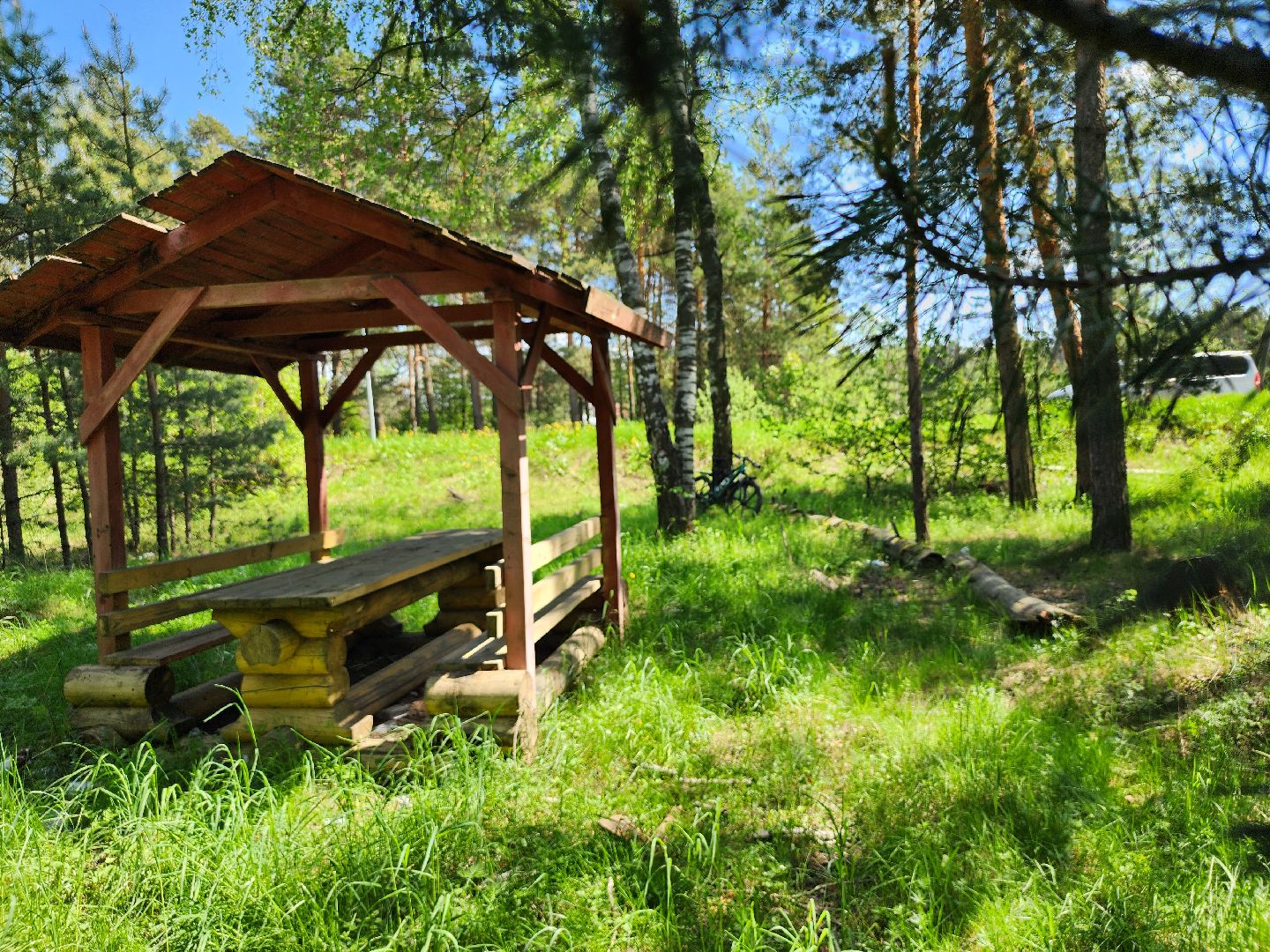 комитет лесного хозяйства, пожароопасный сезон, зона отдыха,