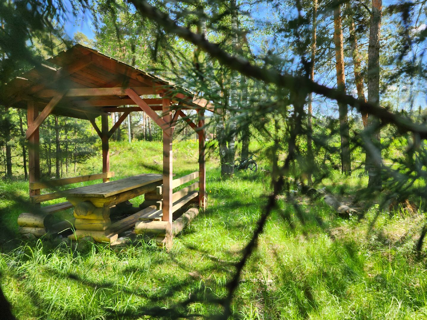 комитет лесного хозяйства, пожароопасный сезон, зона отдыха,