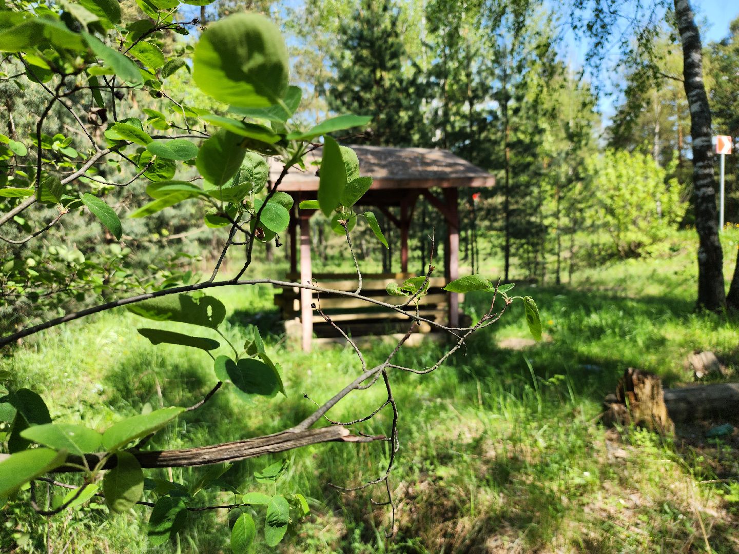 комитет лесного хозяйства, пожароопасный сезон, зона отдыха,